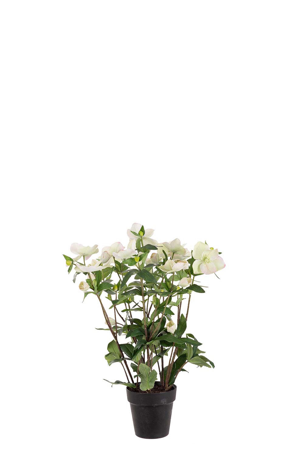 Kunstig grønn Helleborus i Potte 55 cm