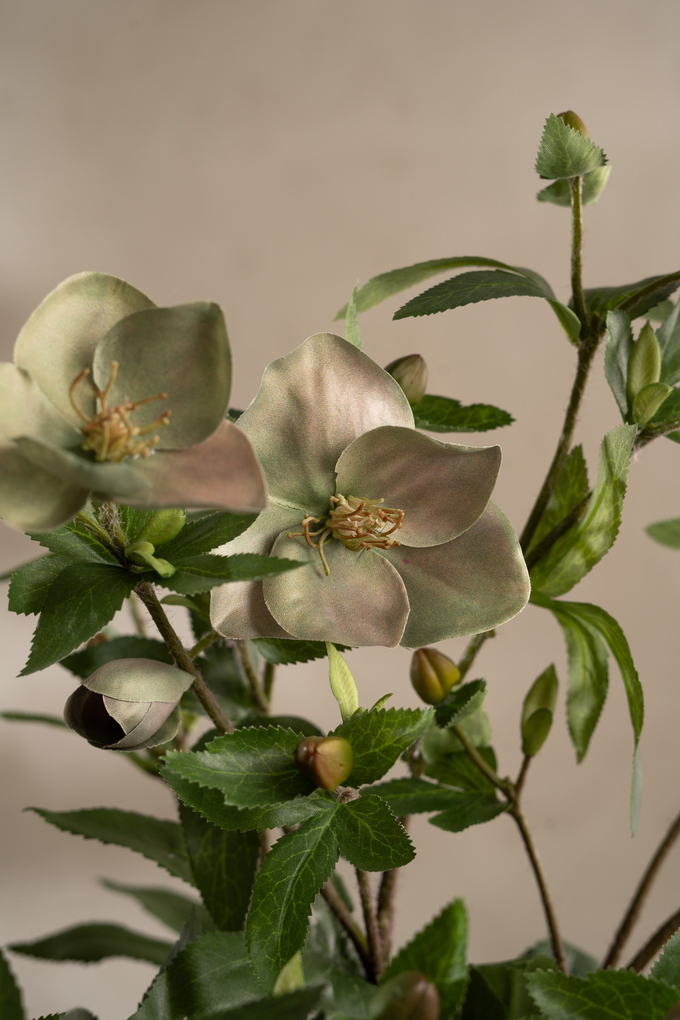Kunstig grønn Helleborus i Potte 55 cm