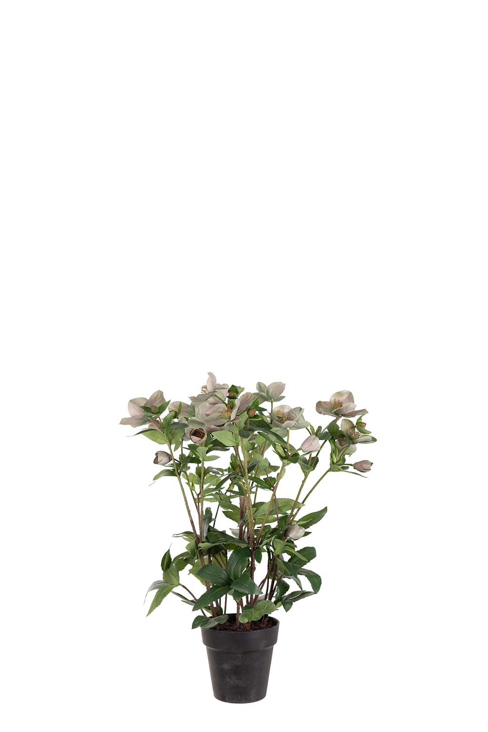 Kunstig grønn Helleborus i Potte 55 cm