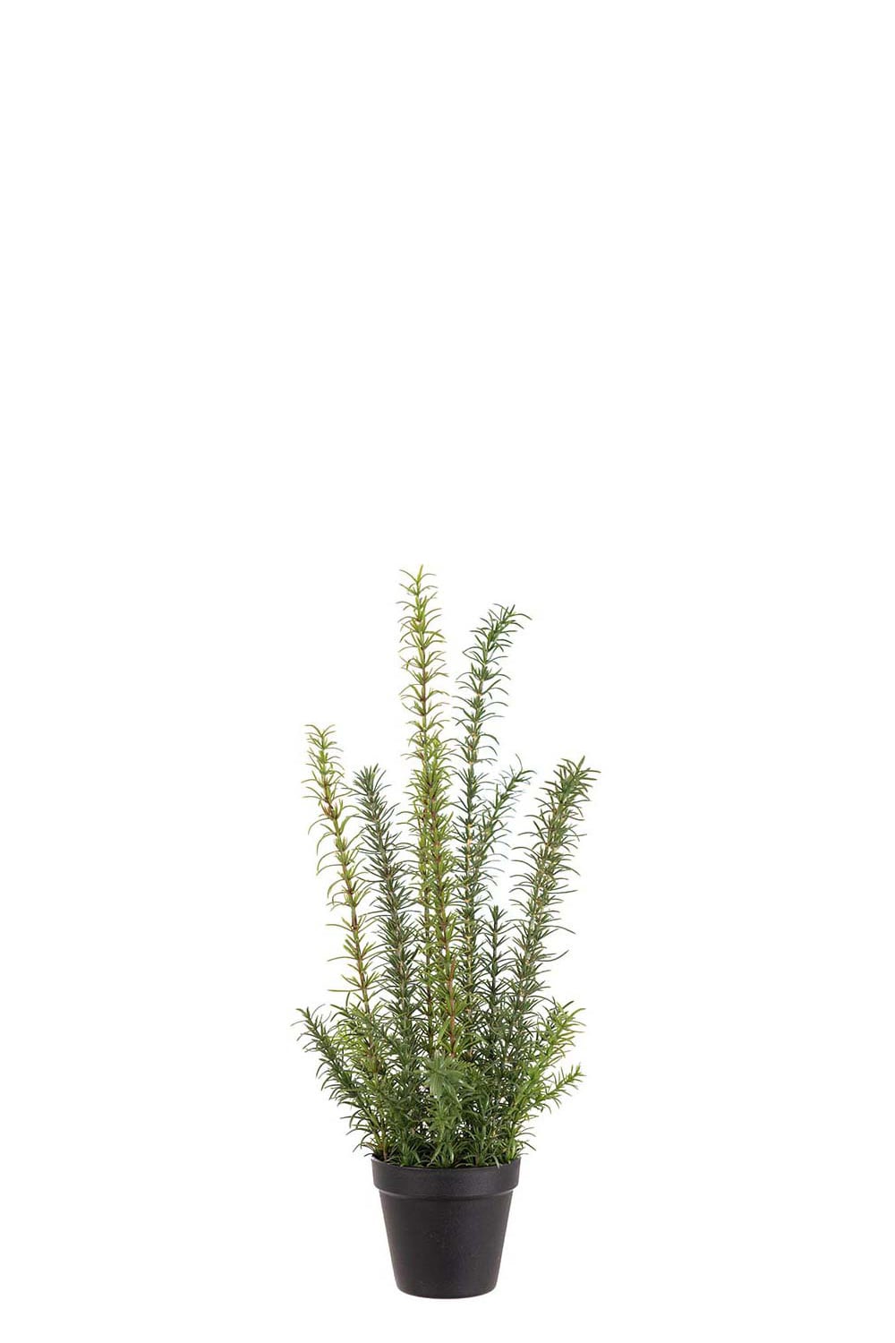 Kunstig grønn rosmarin 58 cm