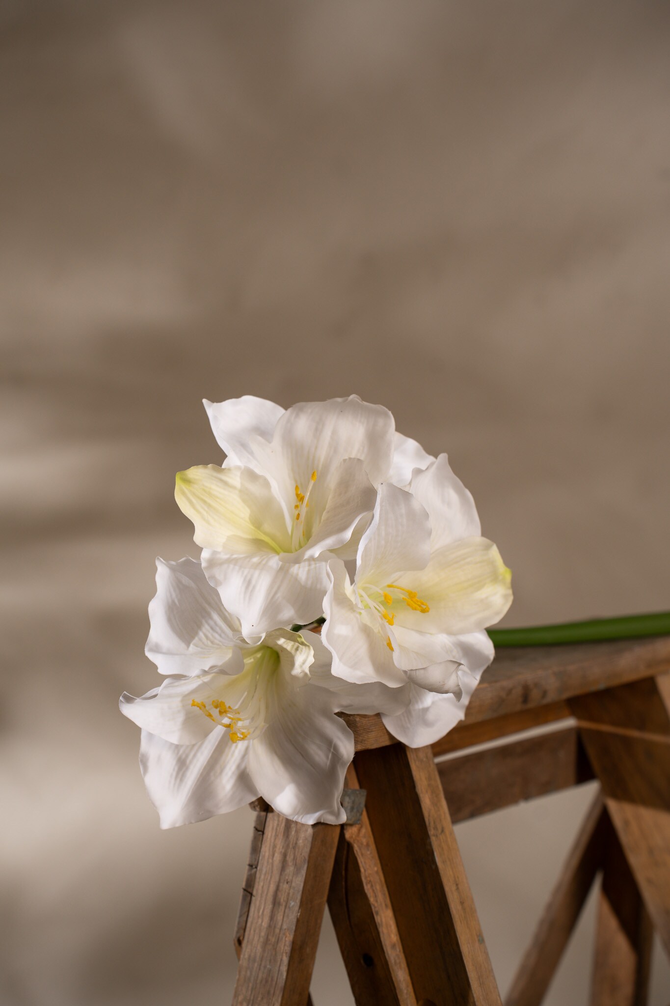 Kunstig krem Amaryllis 65 cm