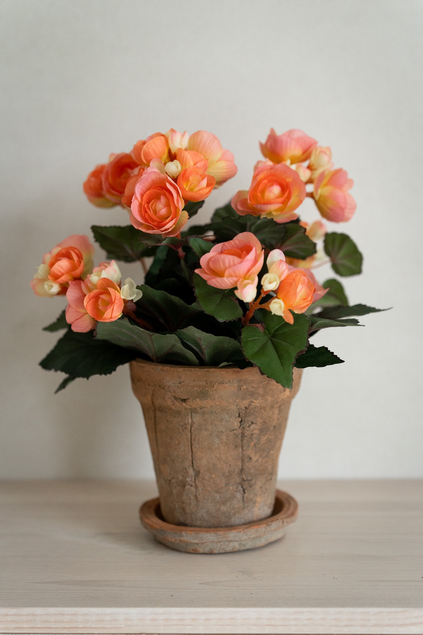 Kunstig aprikosfarget Begonia 28 cm