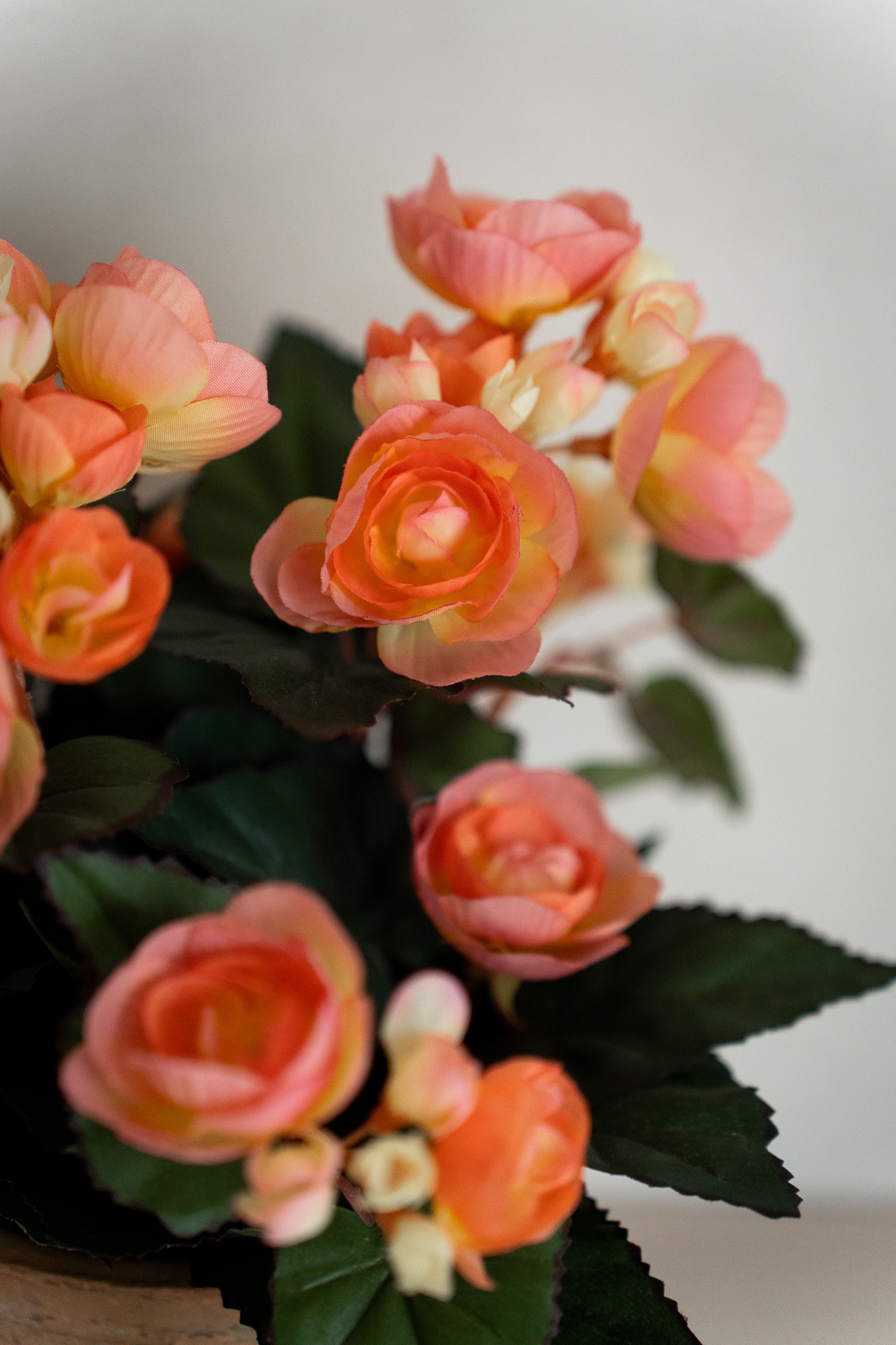 Kunstig aprikosfarget Begonia 28 cm