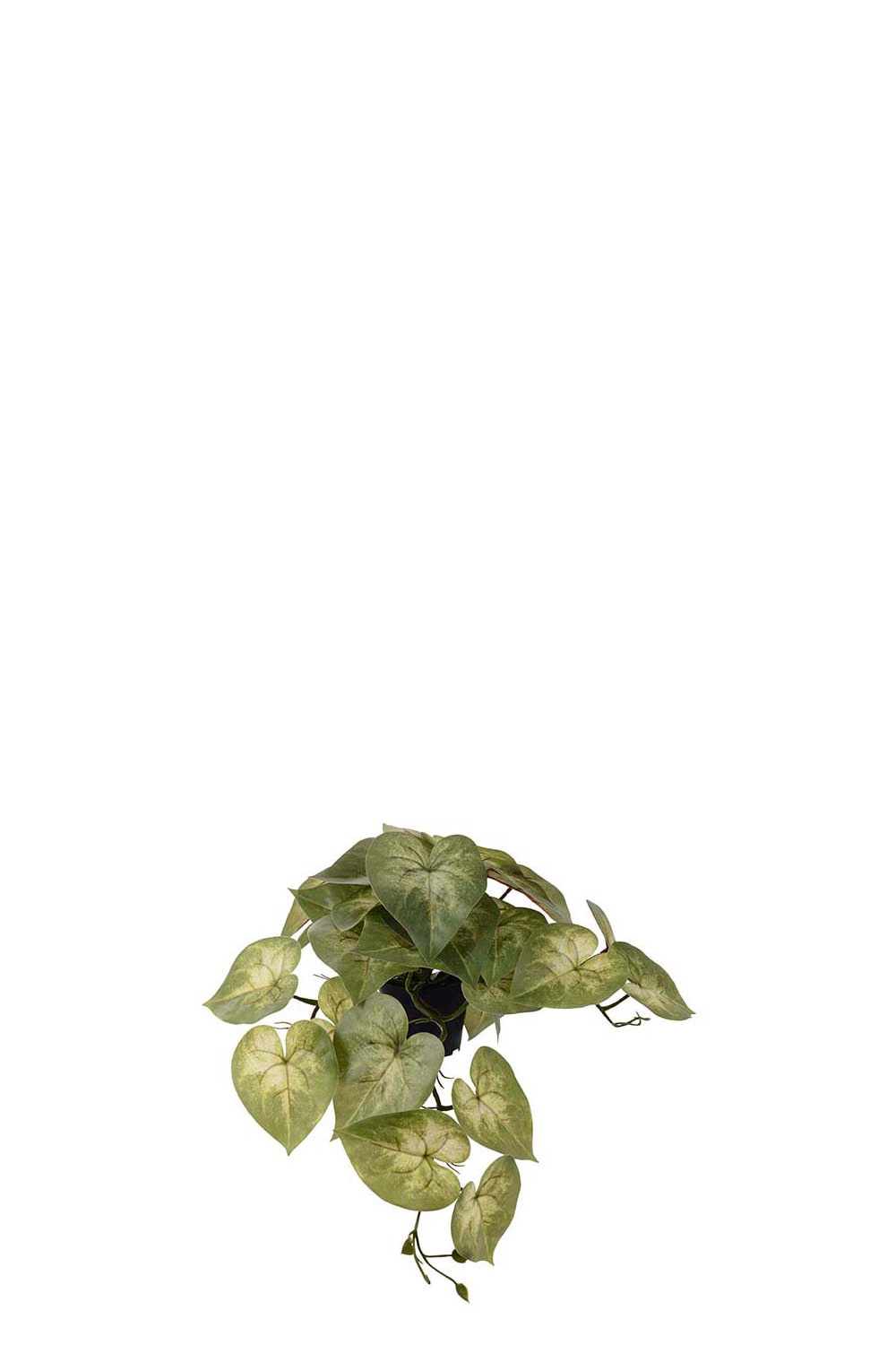 Kunstig grønn Caladium 20 cm