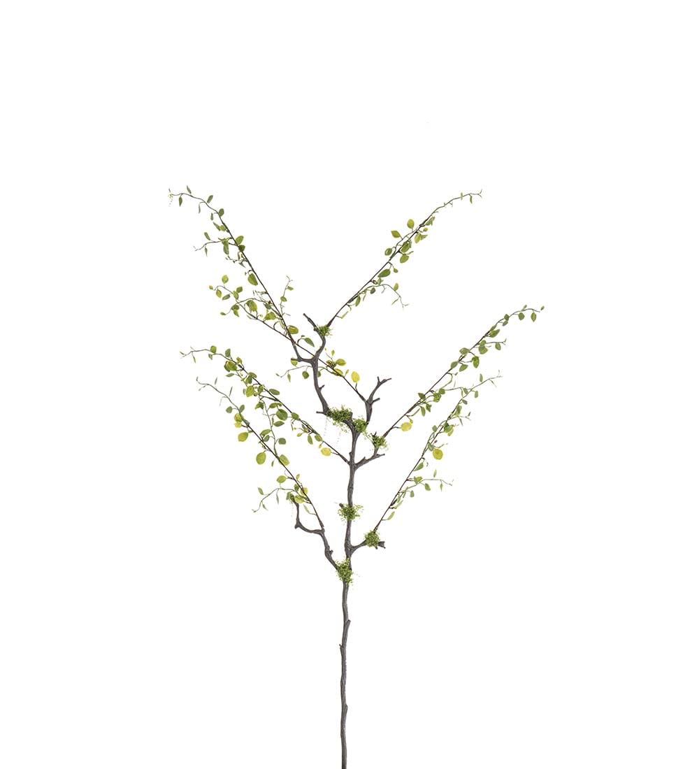 Kunstig grønn Muehlenbeckia 80 cm