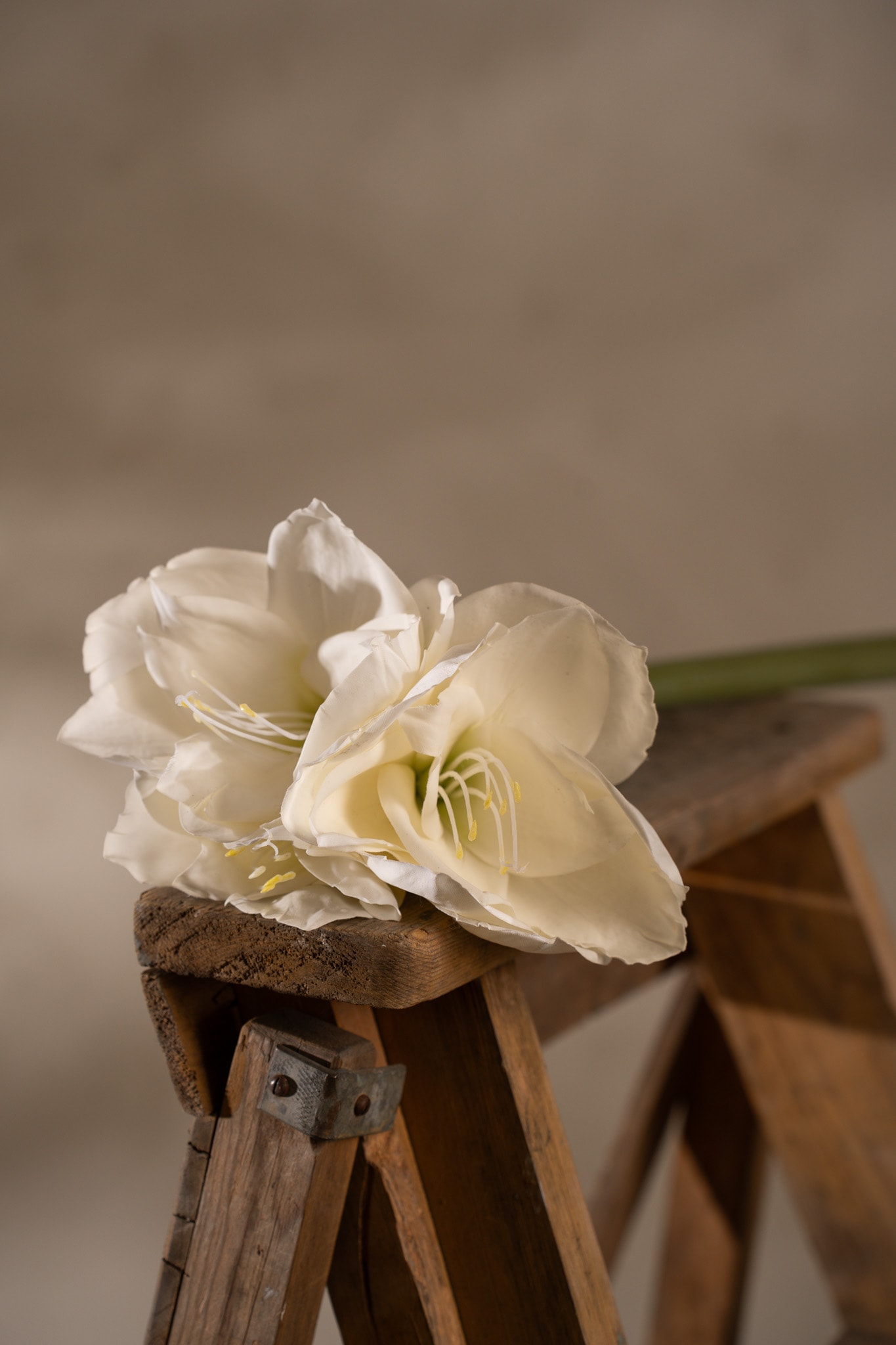 Kunstig krem Amaryllis 60 cm