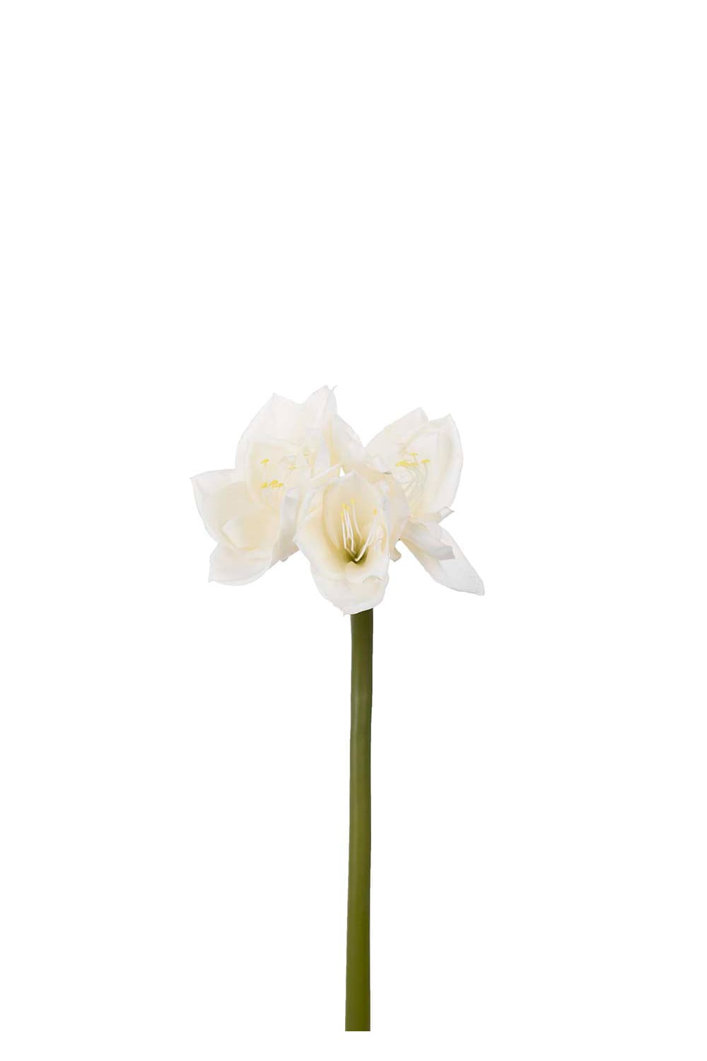 Kunstig krem Amaryllis 60 cm