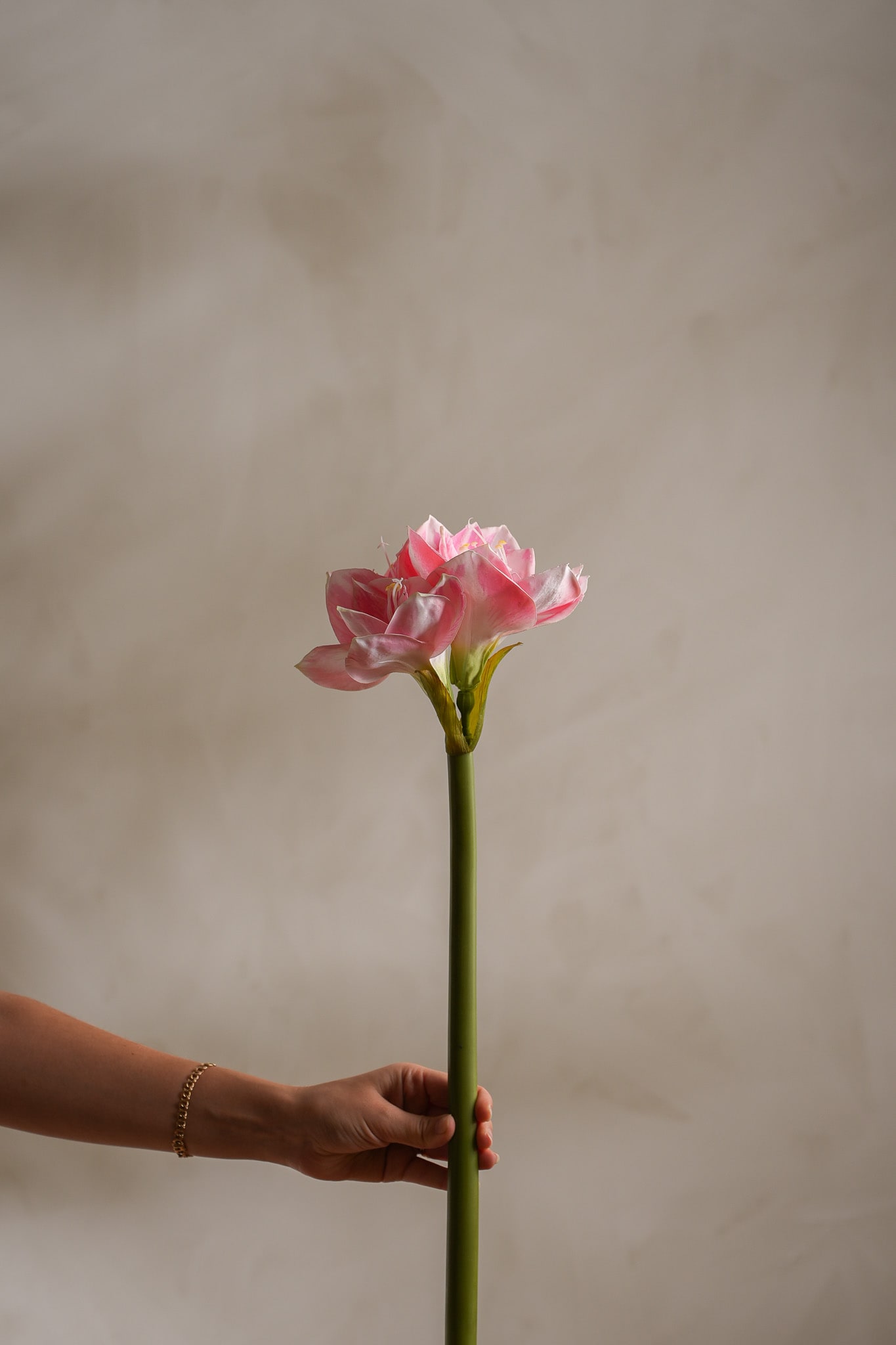 Kunstig rosa Amaryllis 60 cm