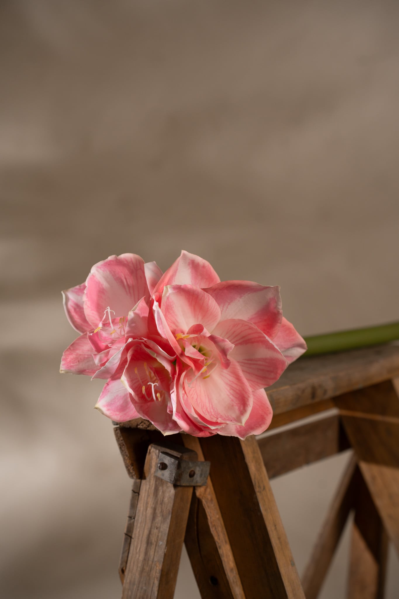 Kunstig rosa Amaryllis 60 cm