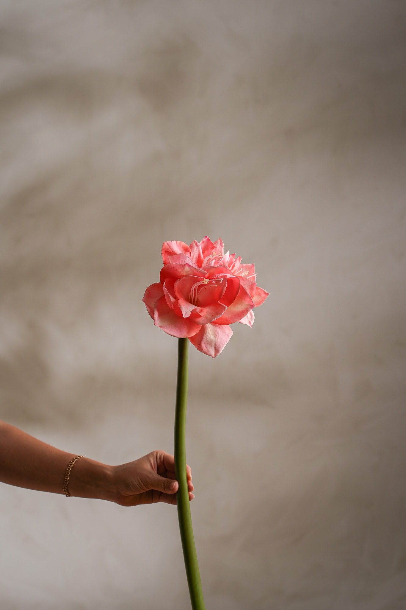 Kunstig rosa Amaryllis 60 cm