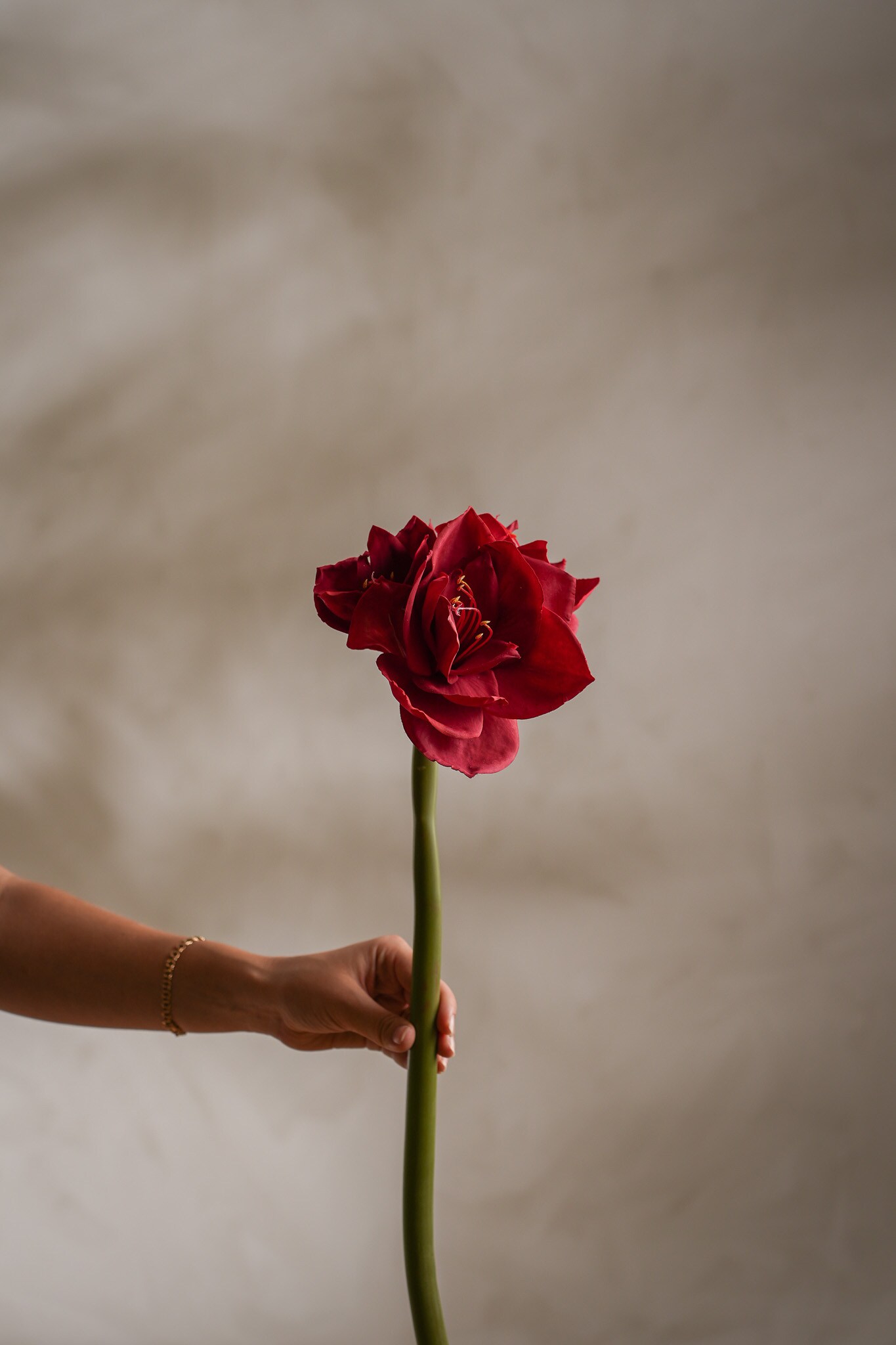 Kunstig rød Amaryllis 60 cm