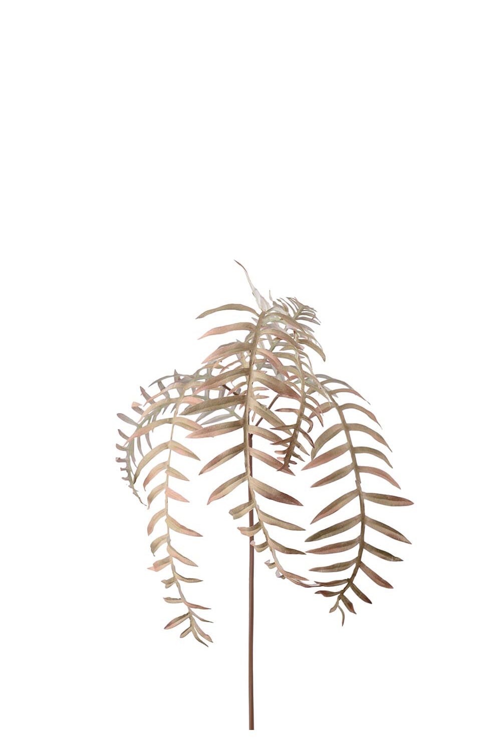 Kunstig beige bregneblad 50 cm