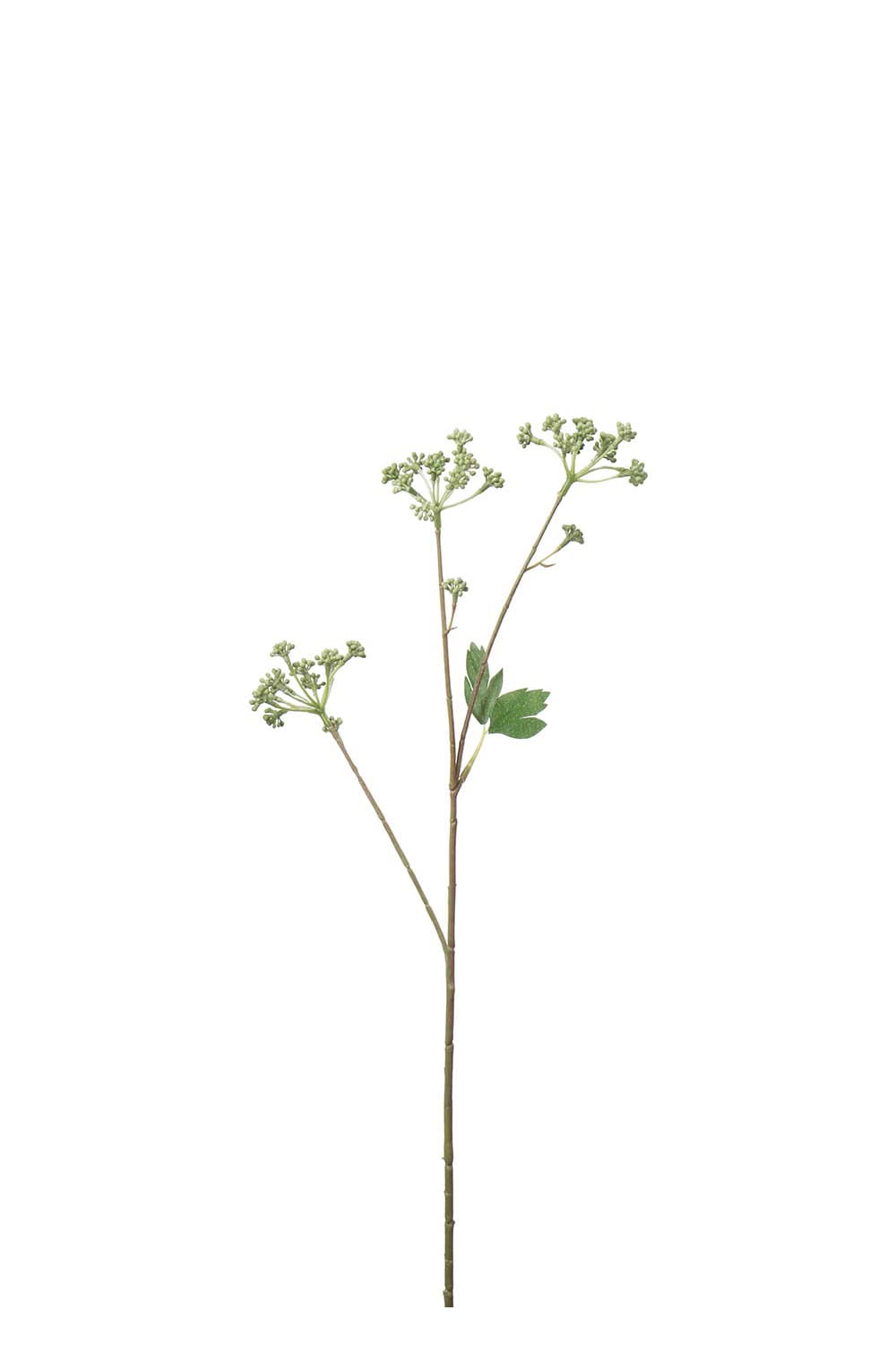 Kunstig grønn Angelica 56 cm