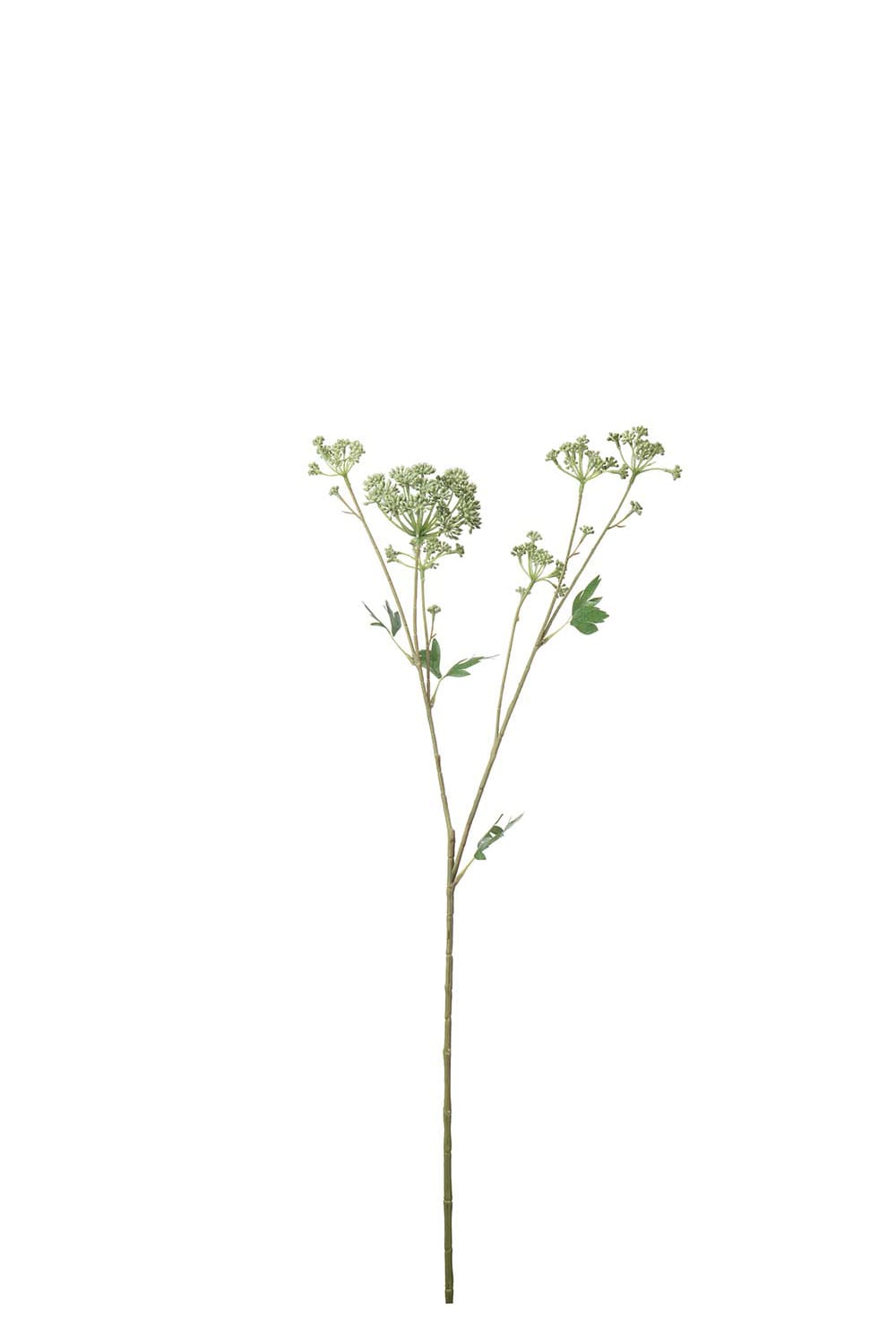 Kunstig grønn Angelica 87 cm