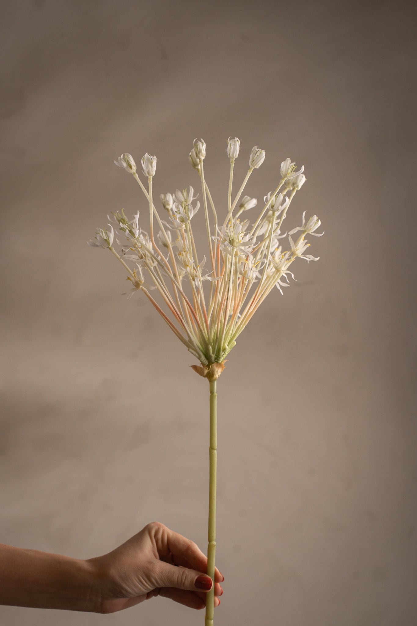 Kunstig hvit Allium 107 cm