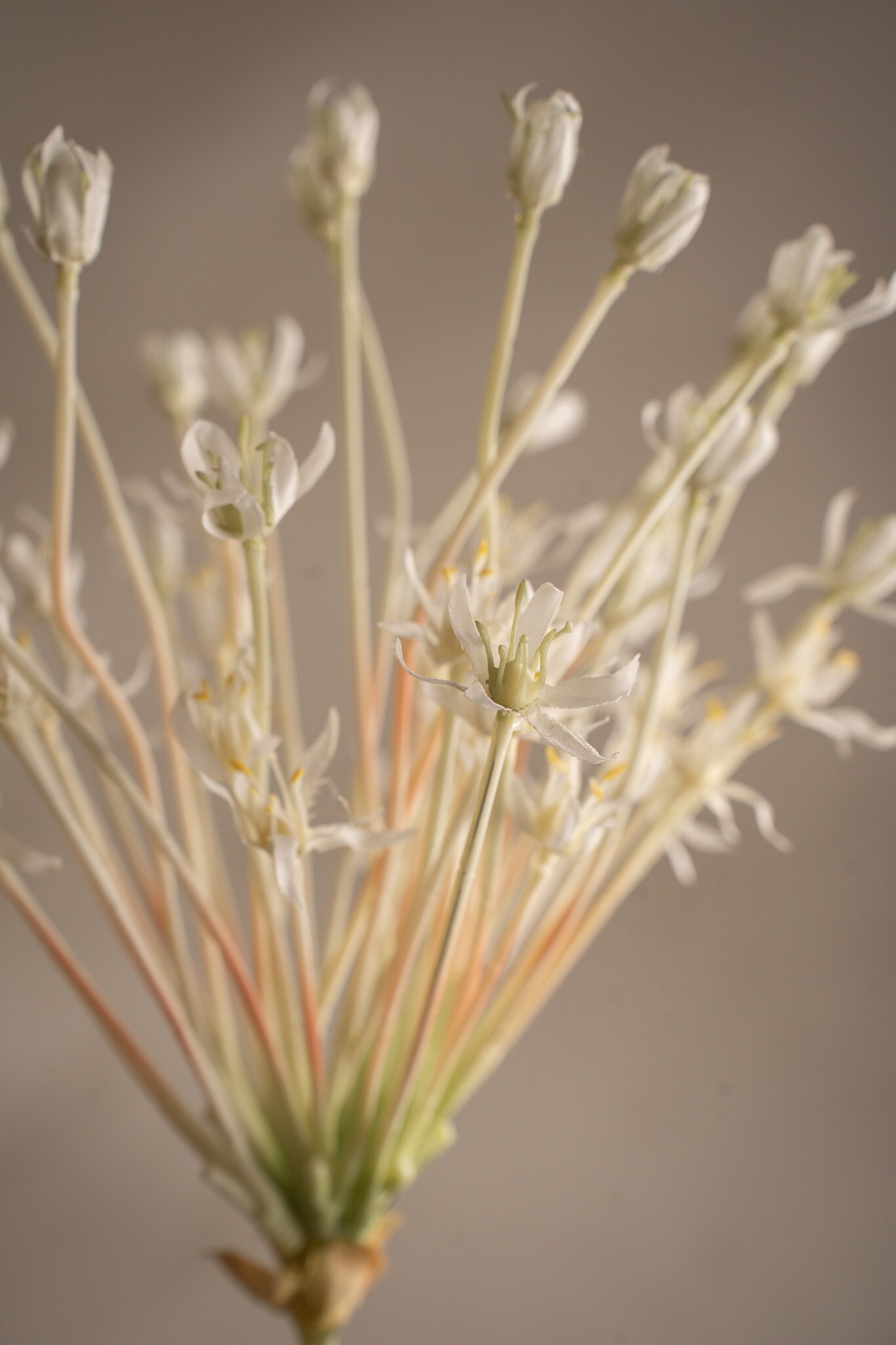 Kunstig hvit Allium 107 cm