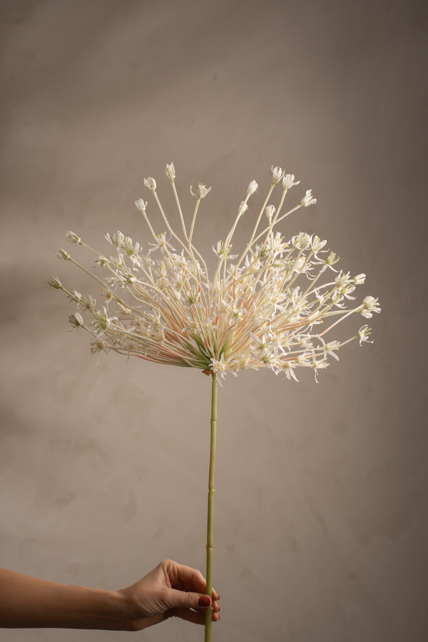 Kunstig hvit Allium 125 cm