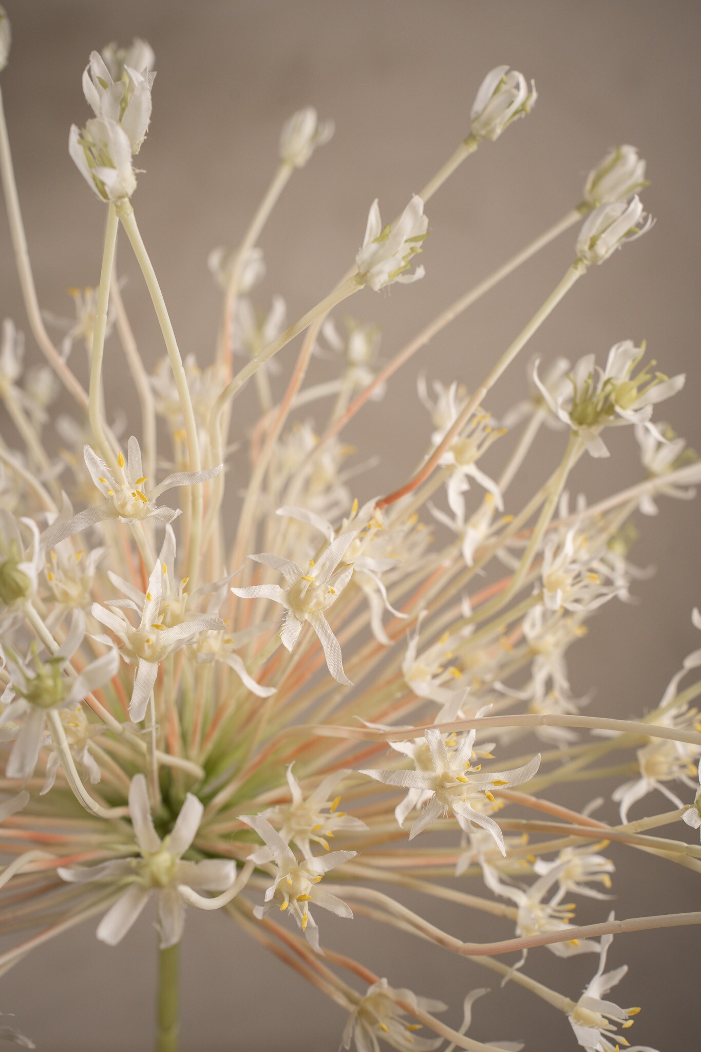 Kunstig hvit Allium 125 cm