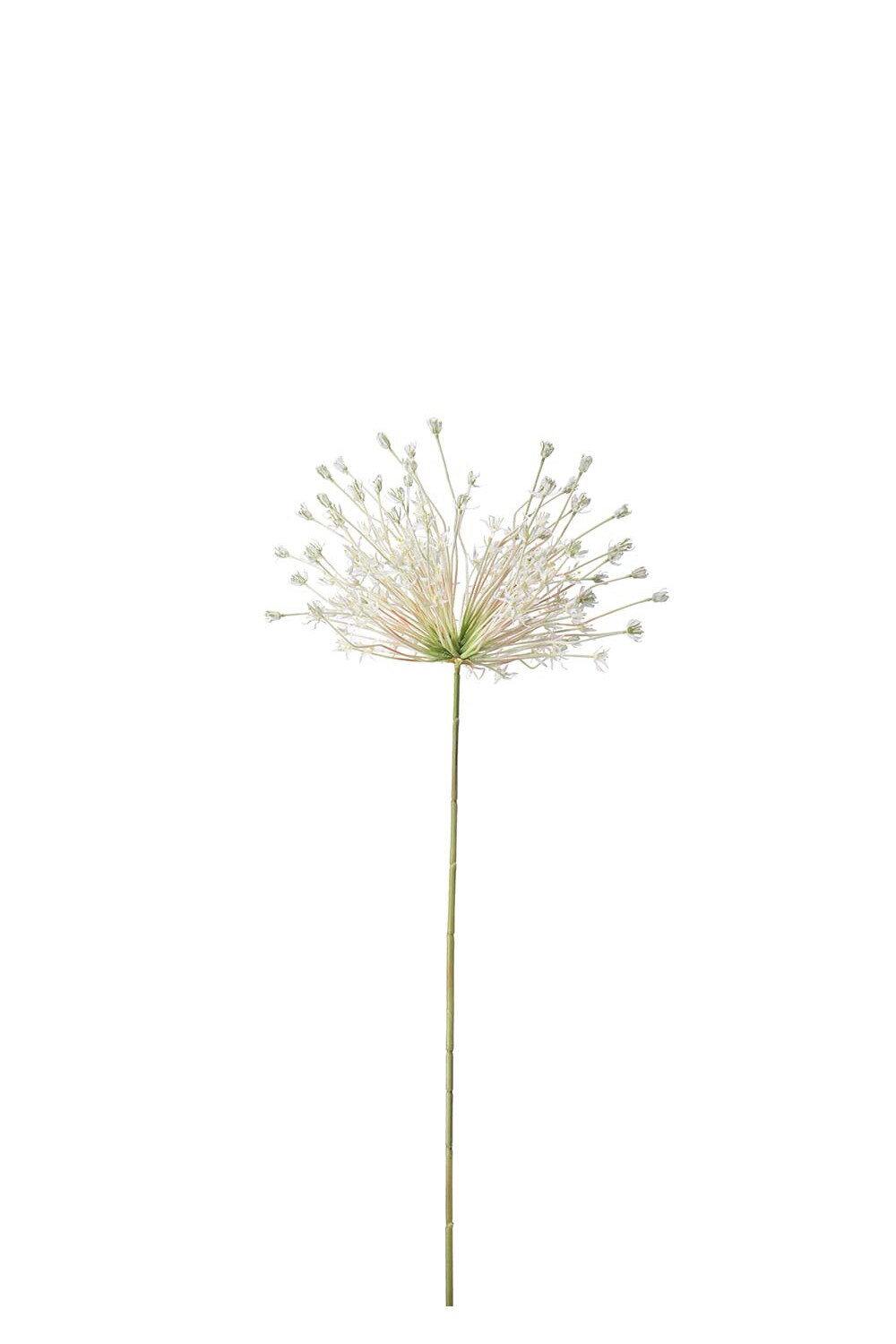 Kunstig hvit Allium 125 cm