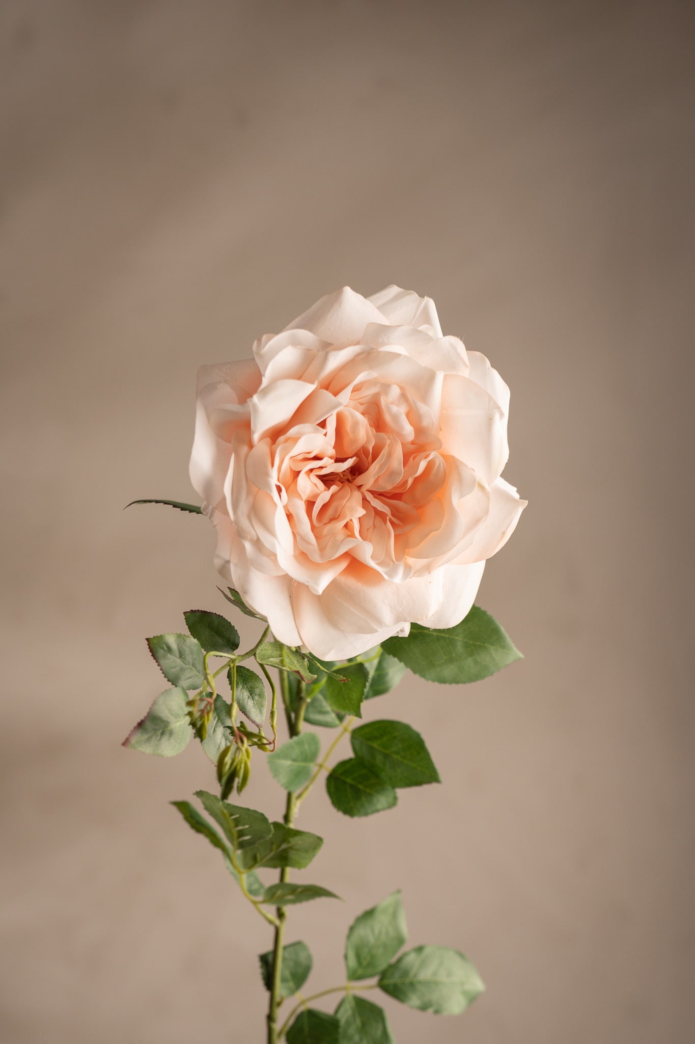 Kunstig ferskenfarget Rose 90 cm