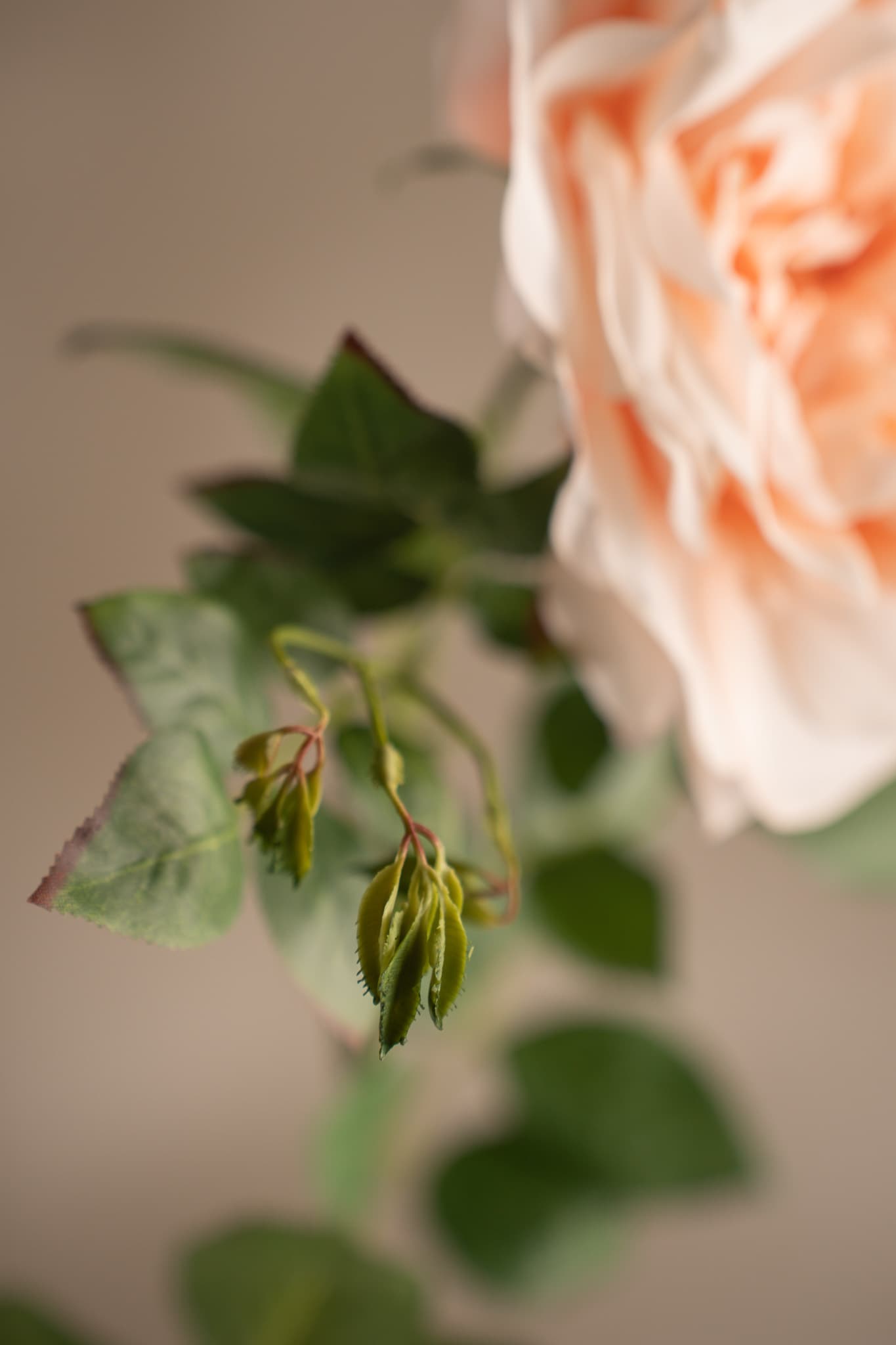 Kunstig ferskenfarget Rose 90 cm