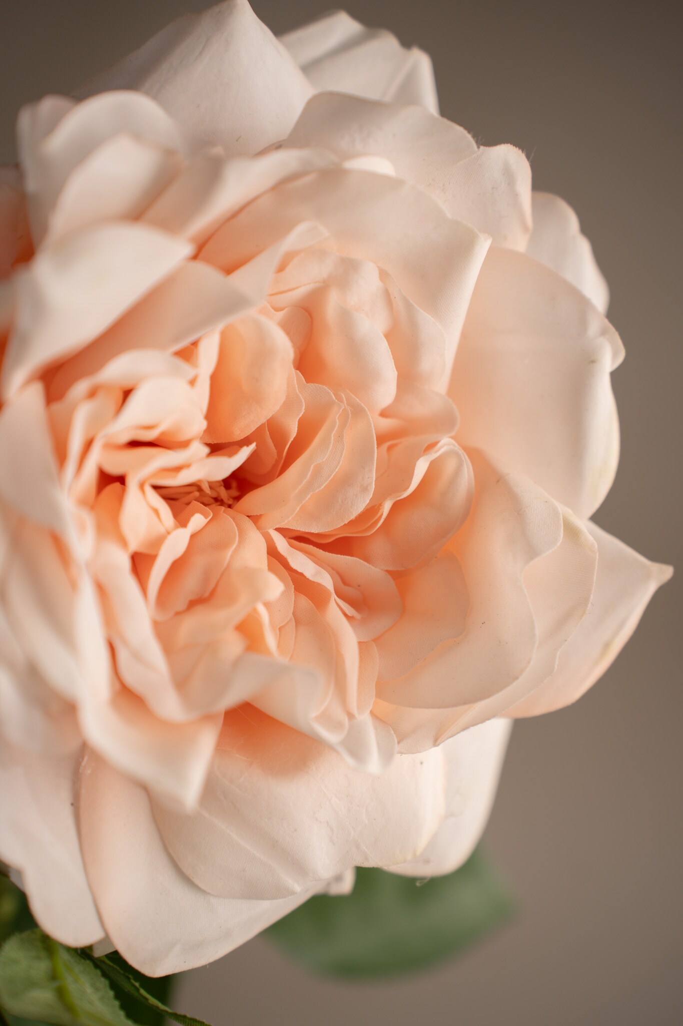 Kunstig ferskenfarget Rose 90 cm