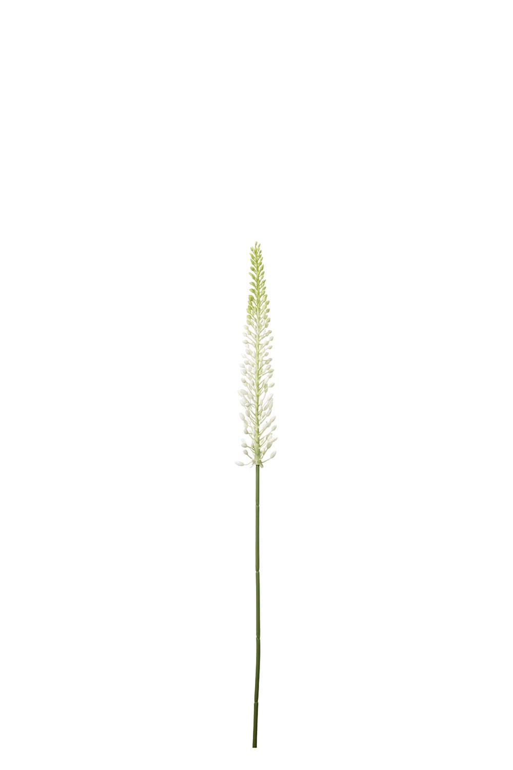 Kunstig hvit Eremurus 75 cm