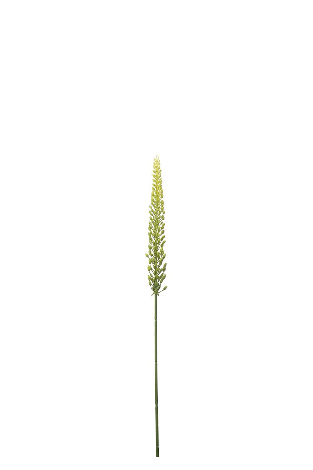 Kunstig grønn Eremurus 75 cm