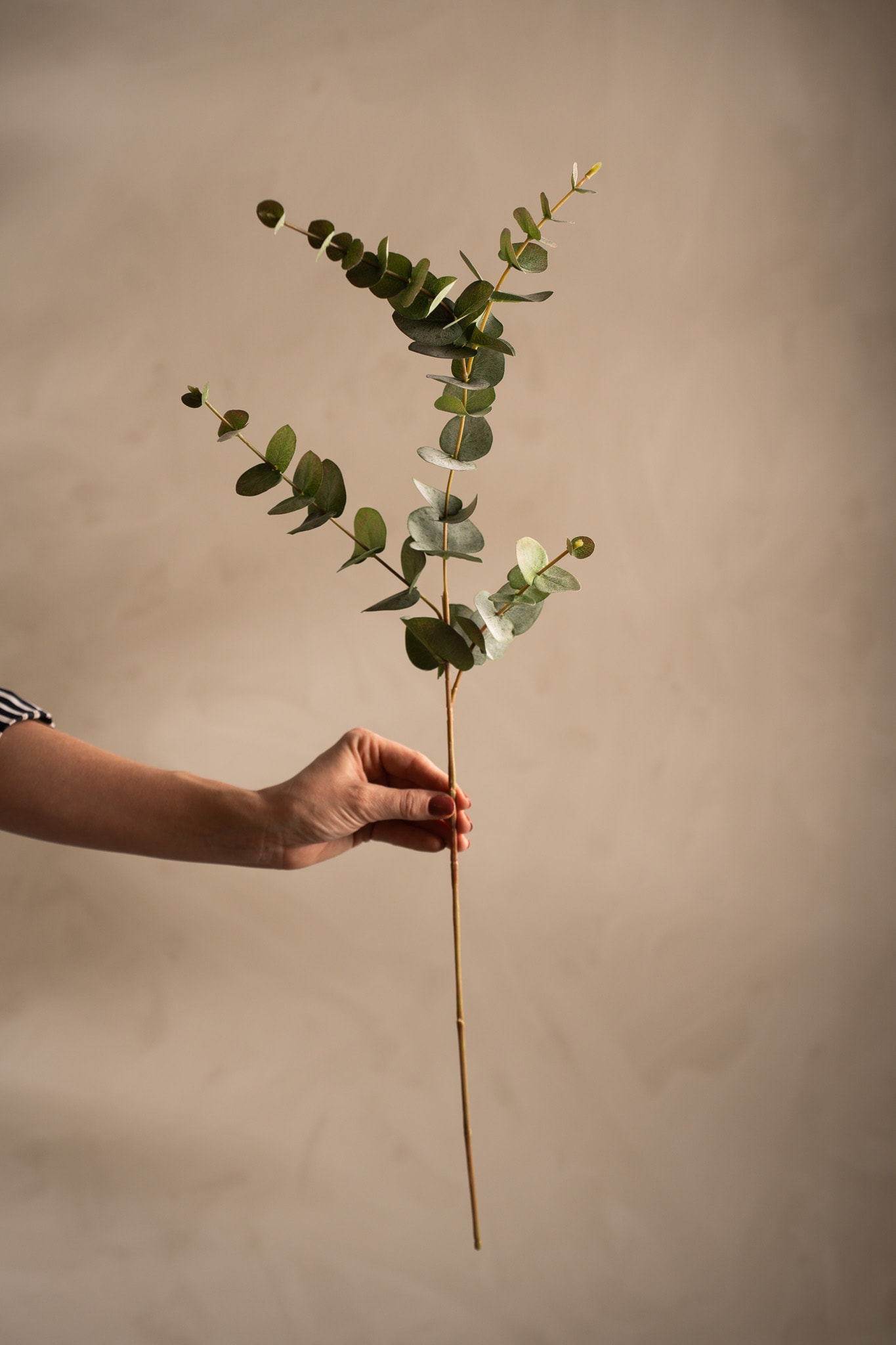 Kunstig grå Eucalyptus 80 cm