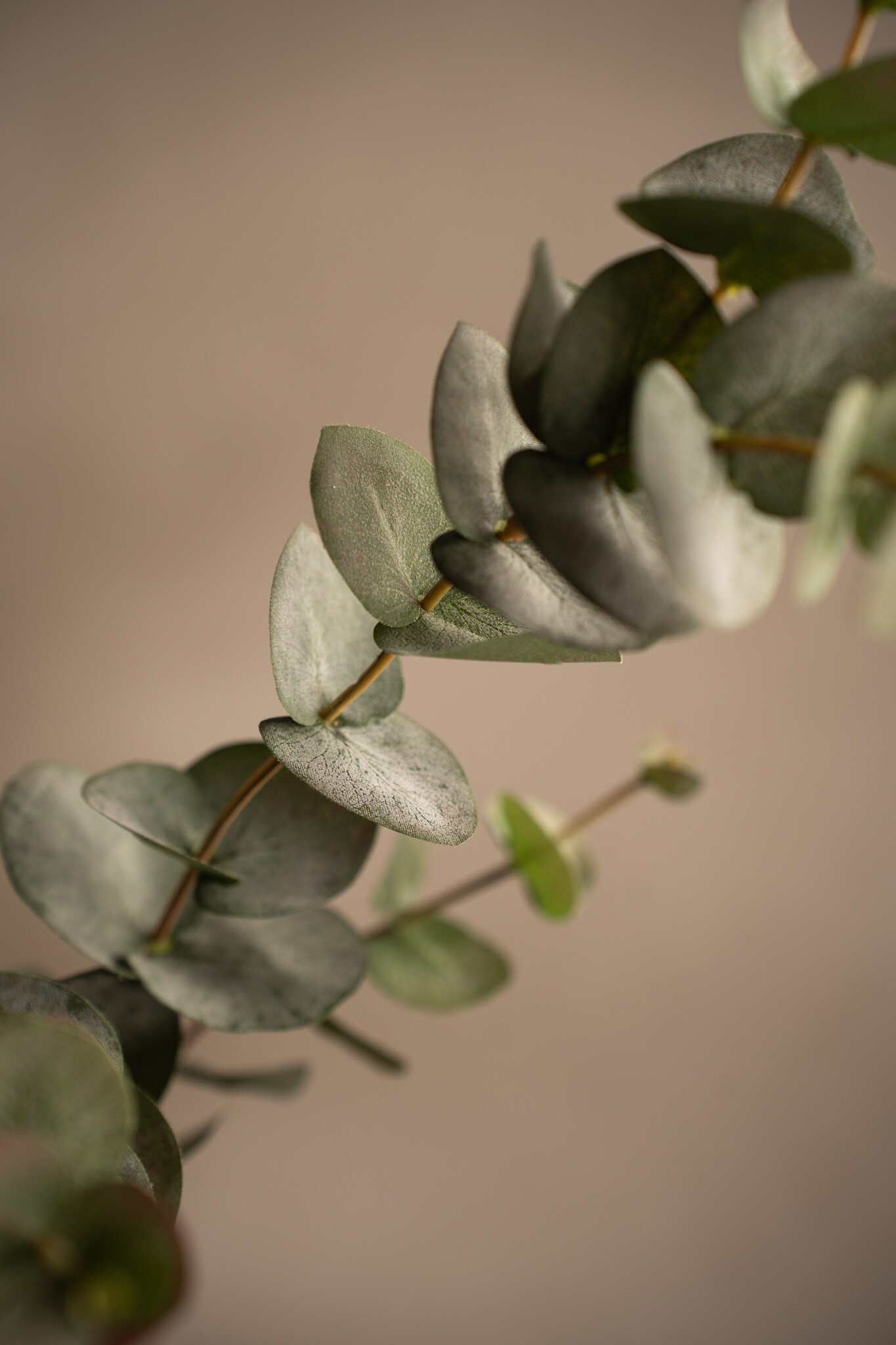 Kunstig grå Eucalyptus 80 cm