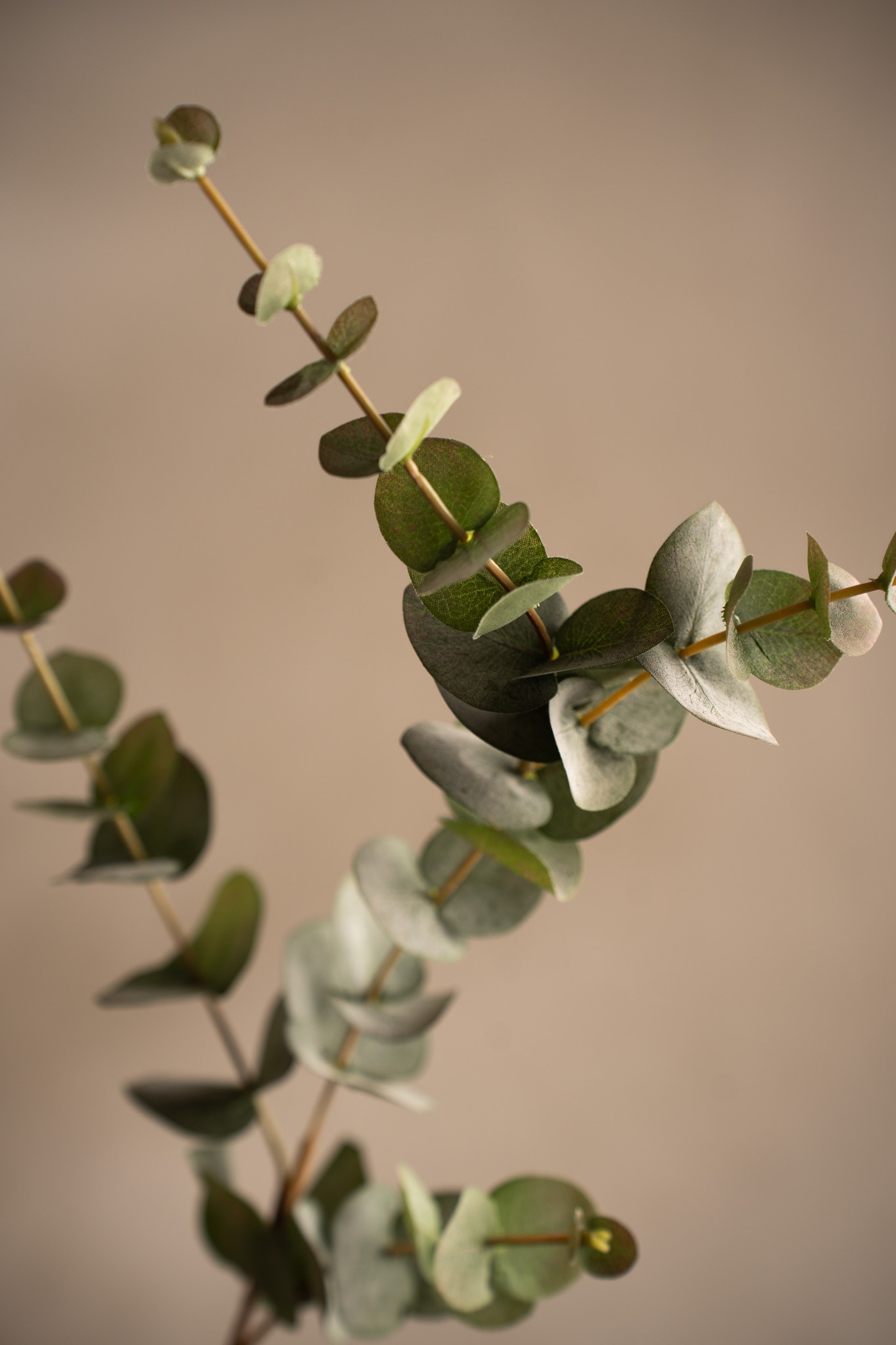 Kunstig grå Eucalyptus 80 cm