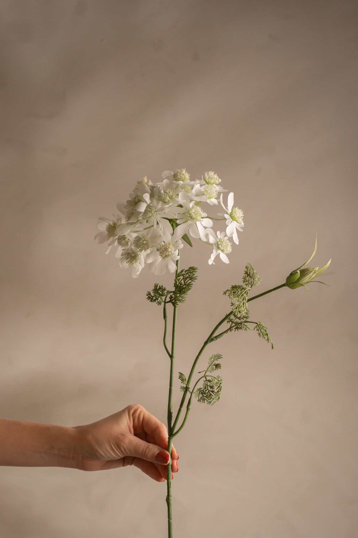 Kunstig hvit Blomsterkjørvel 73 cm