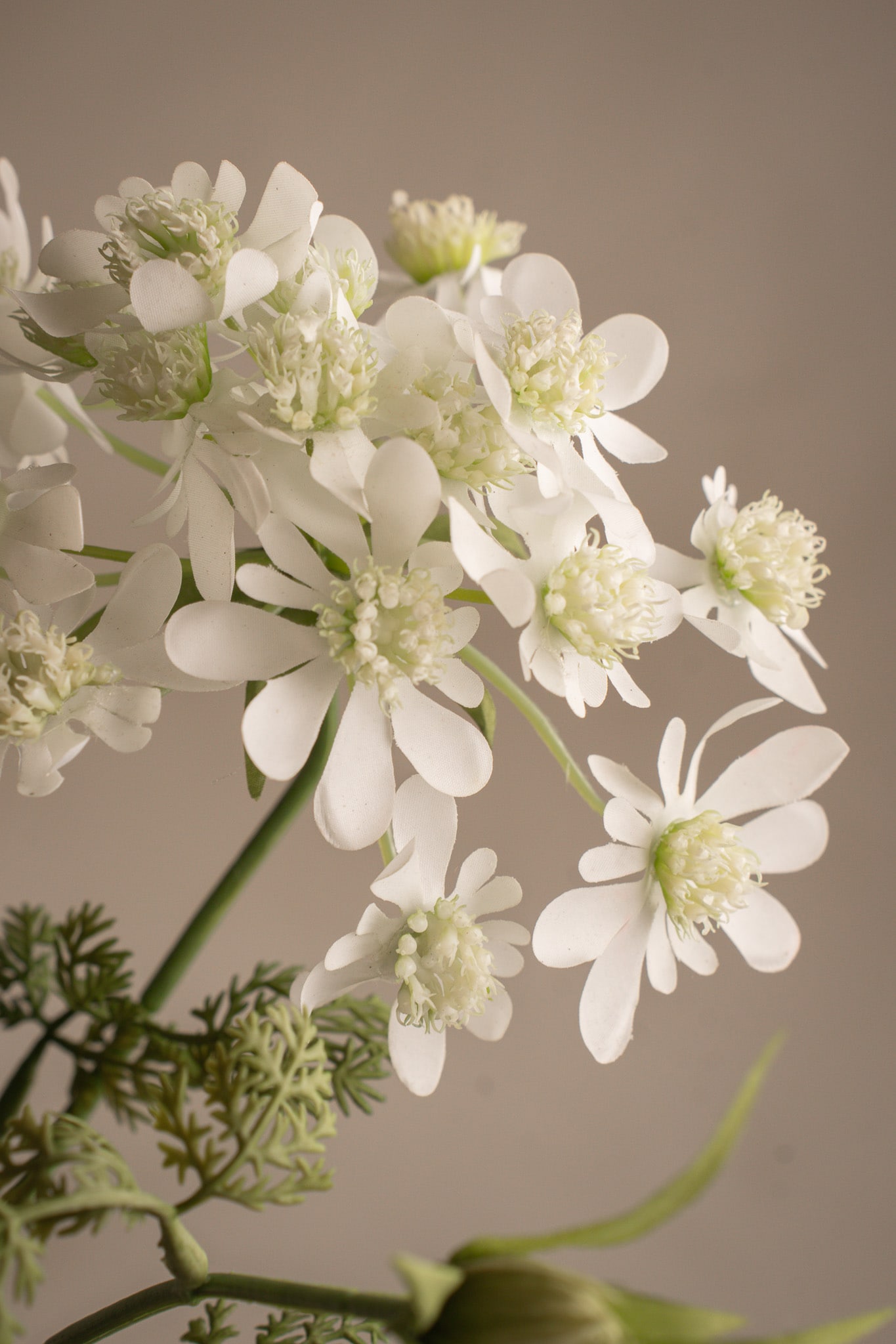 Kunstig hvit Blomsterkjørvel 73 cm