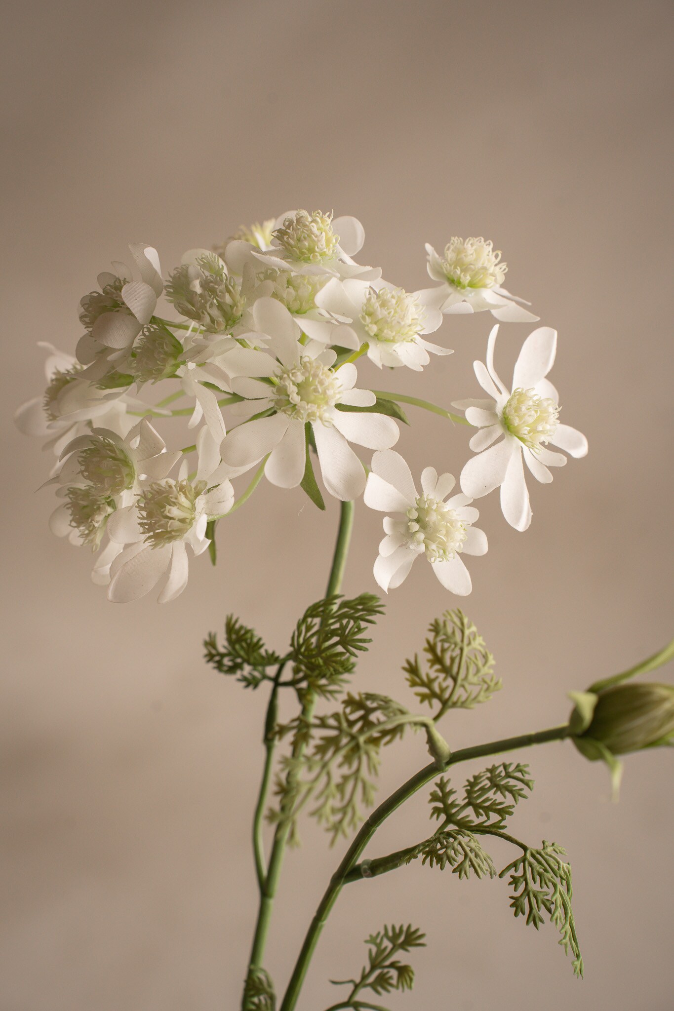 Kunstig hvit Blomsterkjørvel 73 cm