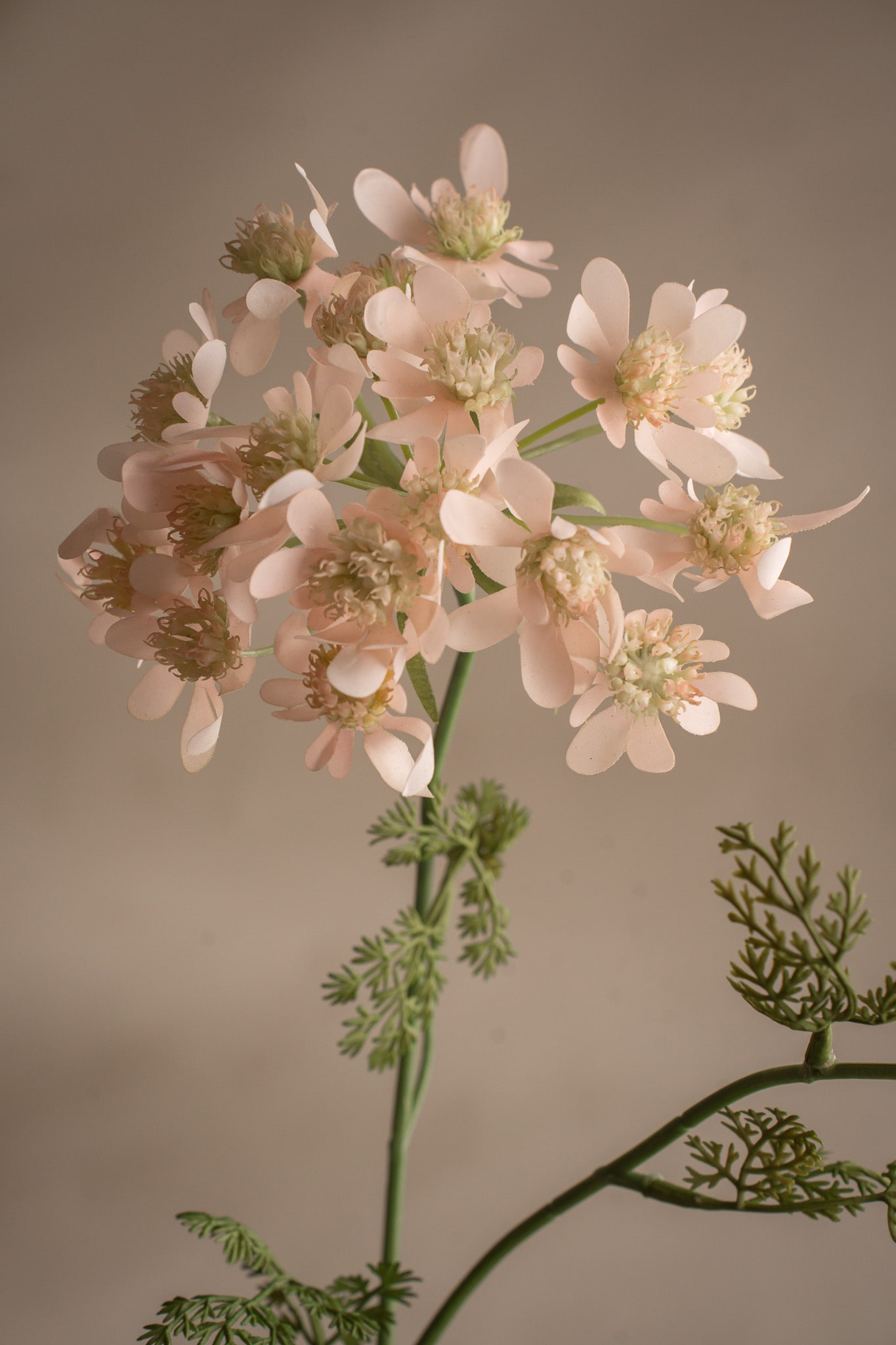 Kunstig rosa Blomsterkjørvel 73 cm