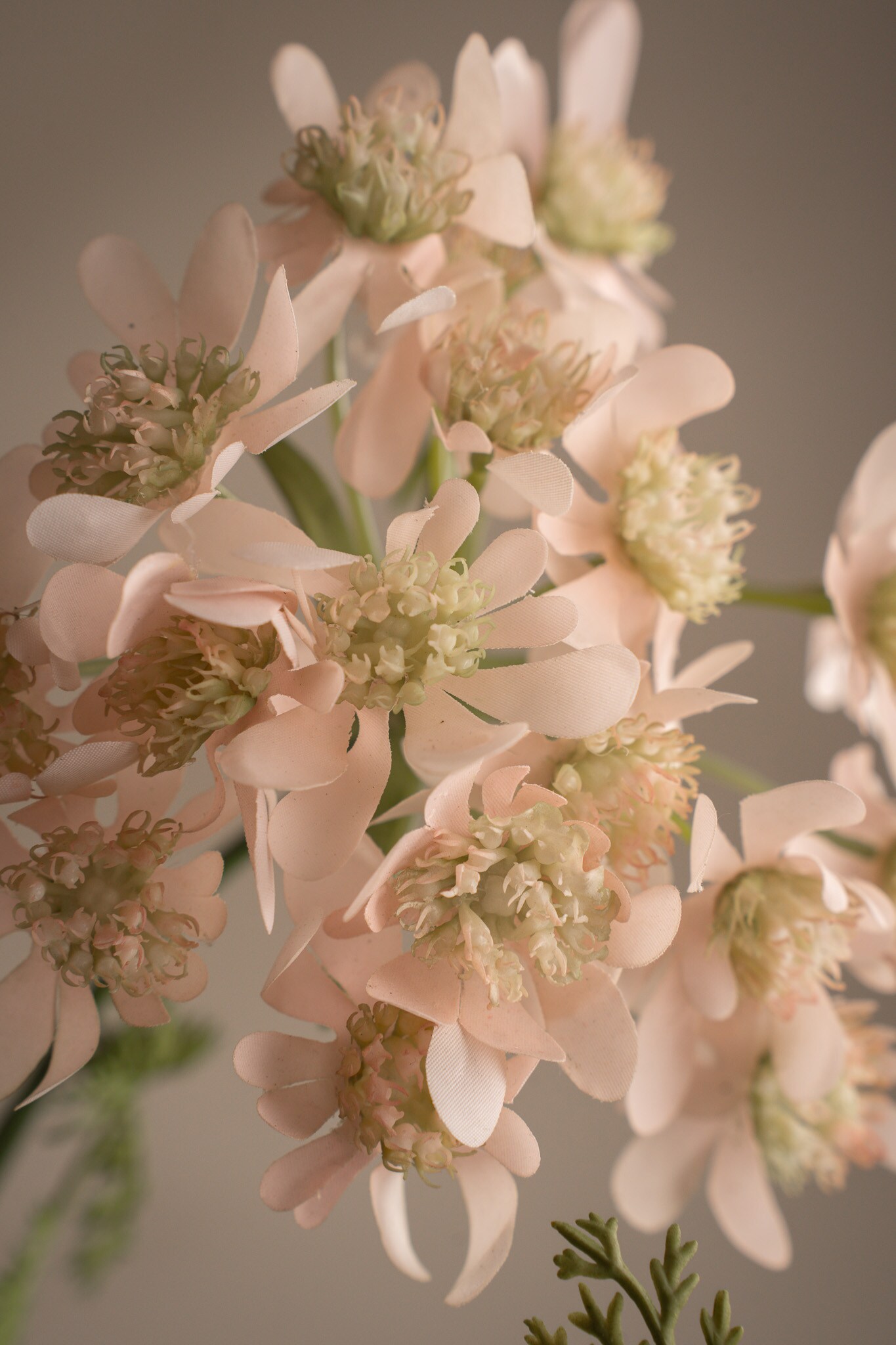 Kunstig rosa Blomsterkjørvel 73 cm