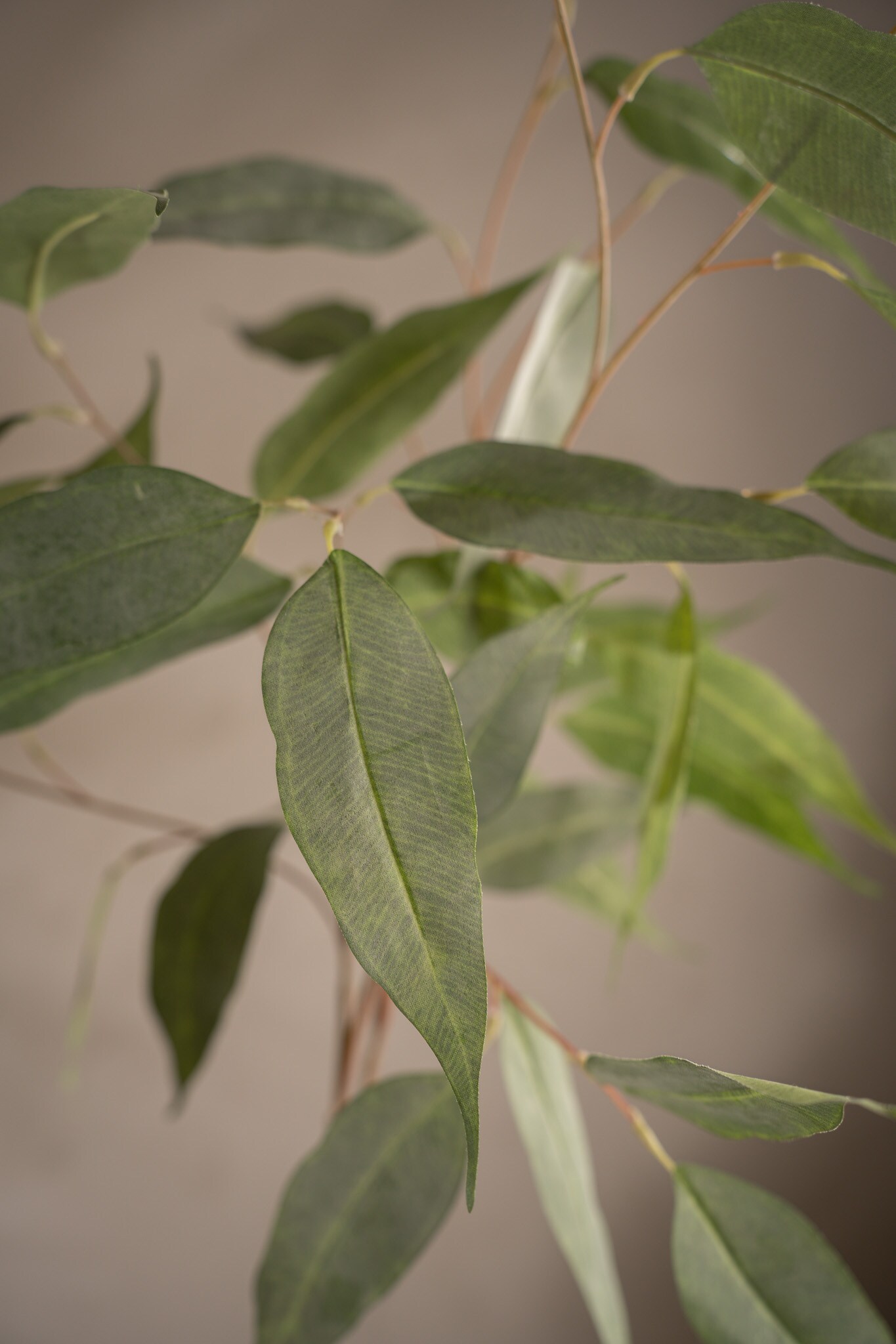 Kunstig grå Eucalyptus 110 cm