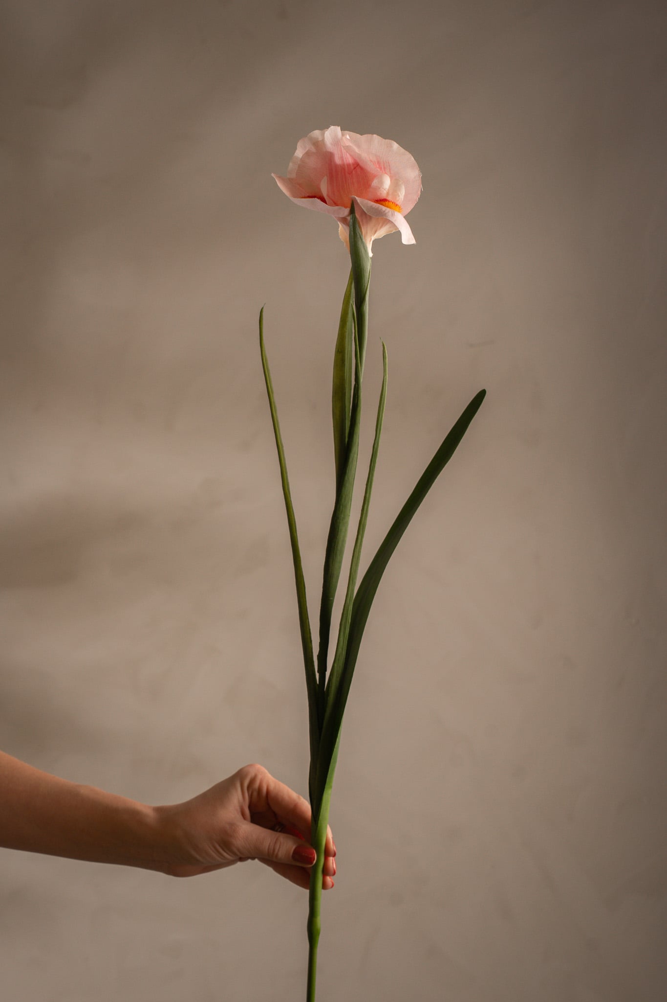Kunstig rosa Iris 68 cm