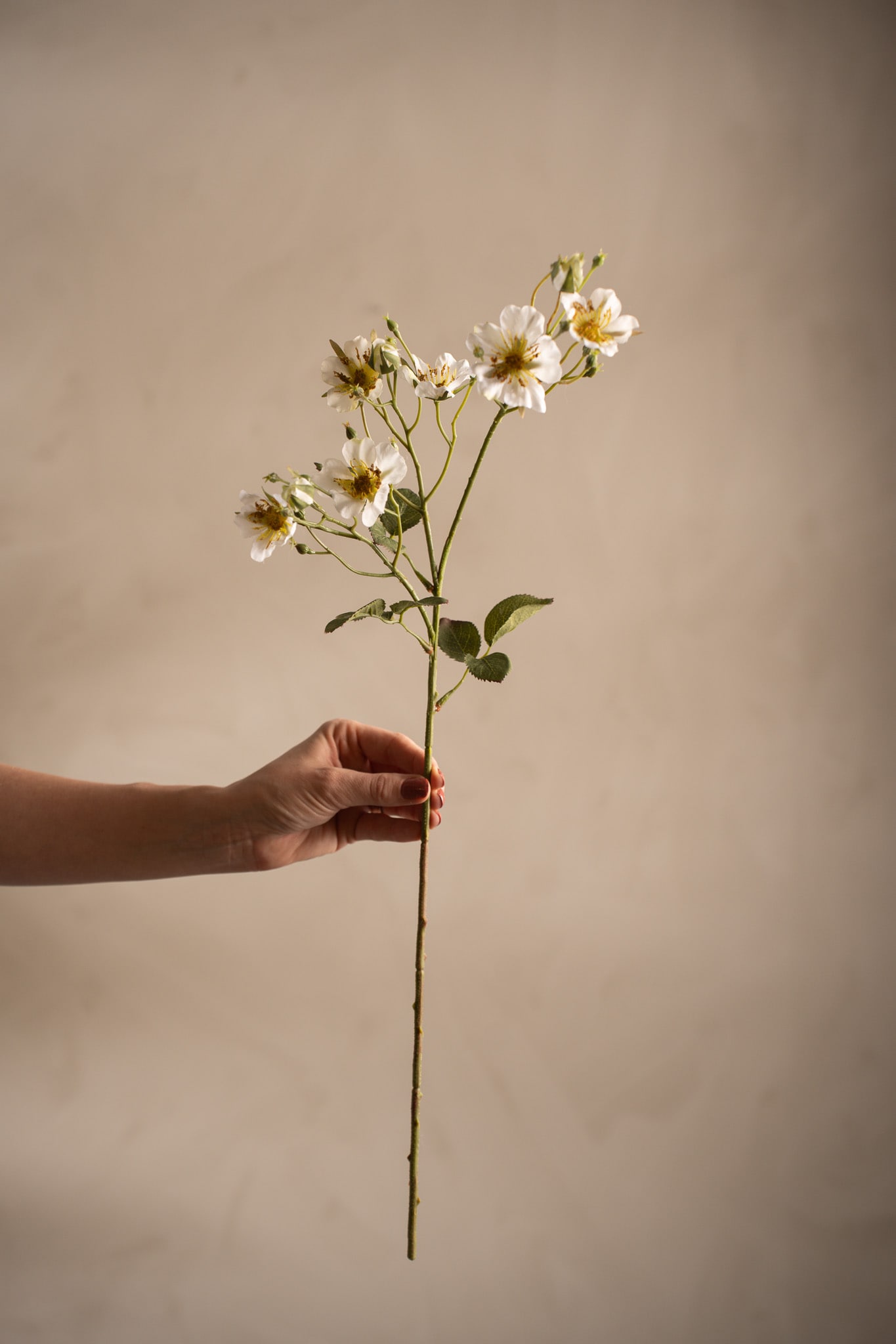 Kunstig hvit Japansk klatrerose 65 cm