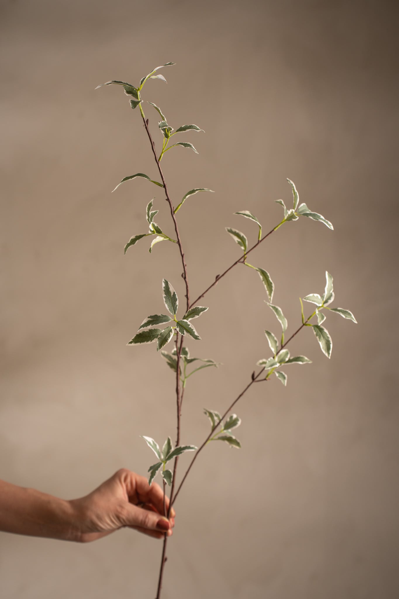 Kunstig grønn Kvist 105 cm