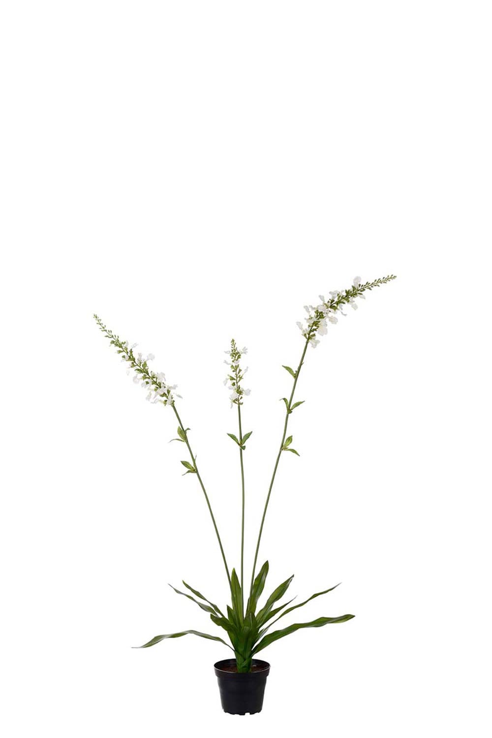 Kunstig hvit Porselensveronika 90 cm