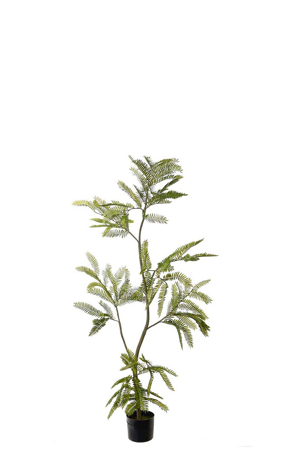 Kunstig grønn Mimosa Pudica 140 cm