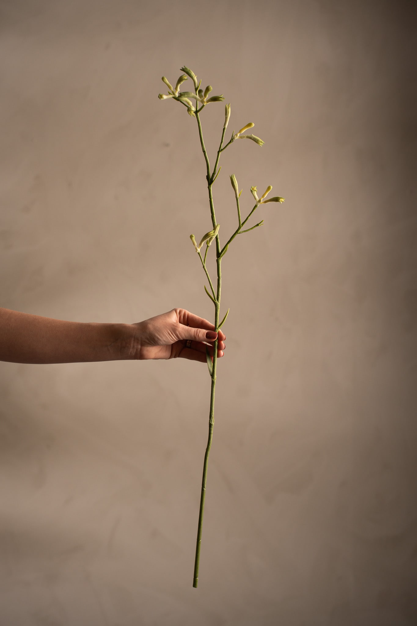 Kunstig grønn Kengurupote 78 cm