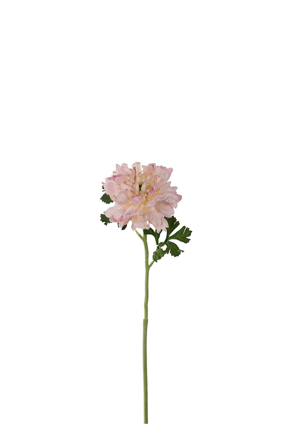 Kunstig rosa Ranuncel 60 cm