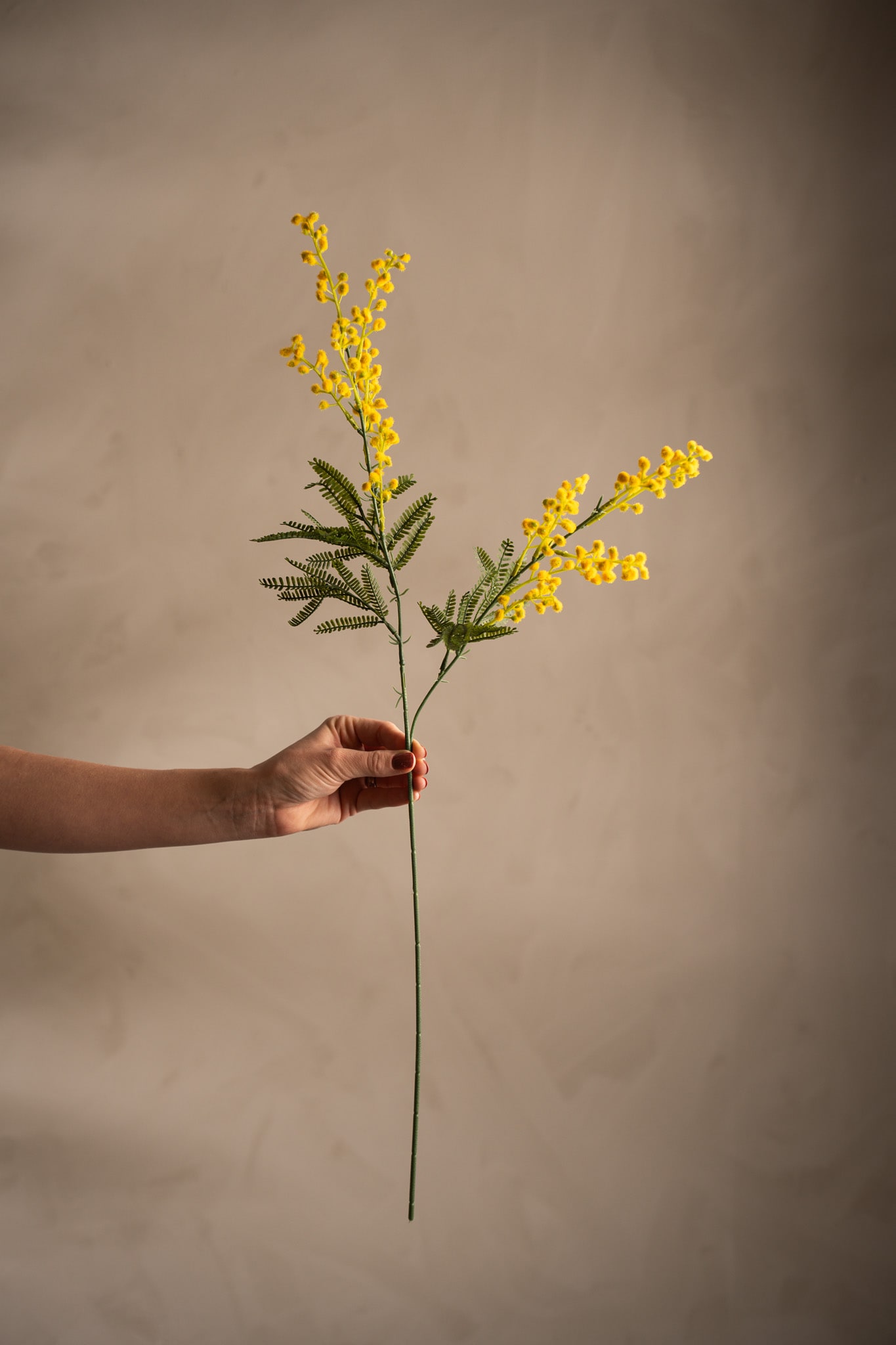 Kunstig gul Mimosa 75 cm