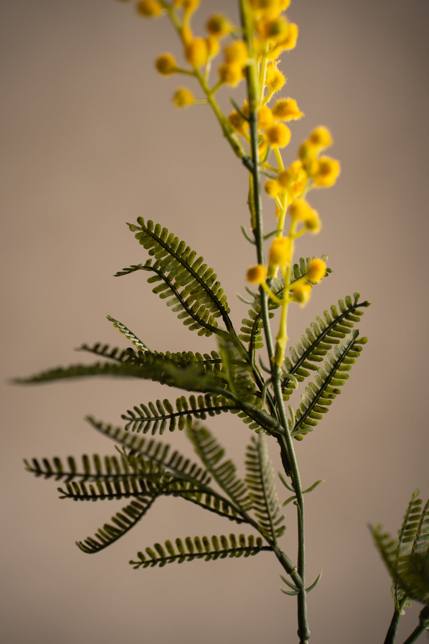 Kunstig gul Mimosa 75 cm