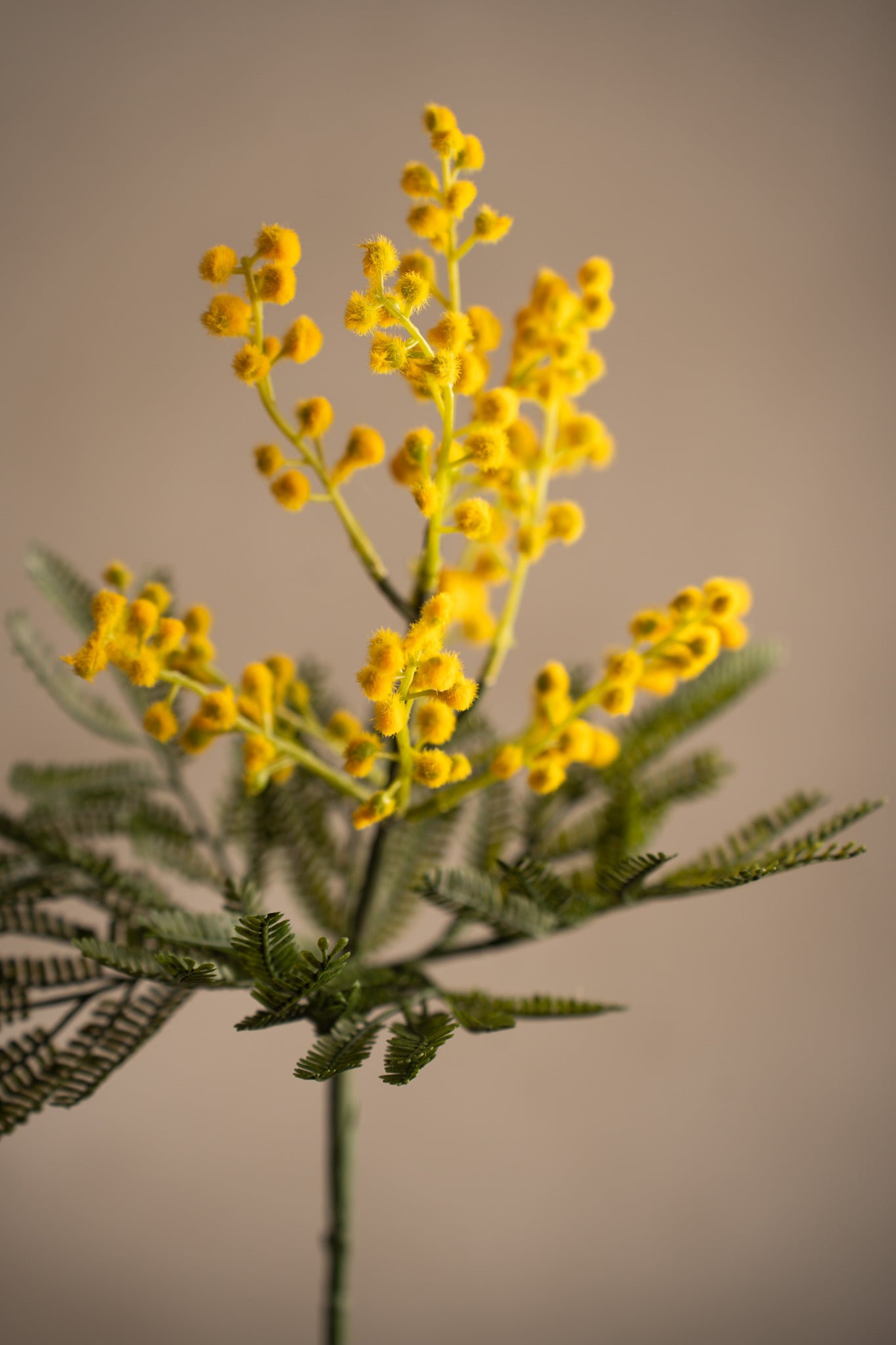 Kunstig gul Mimosa 48 cm