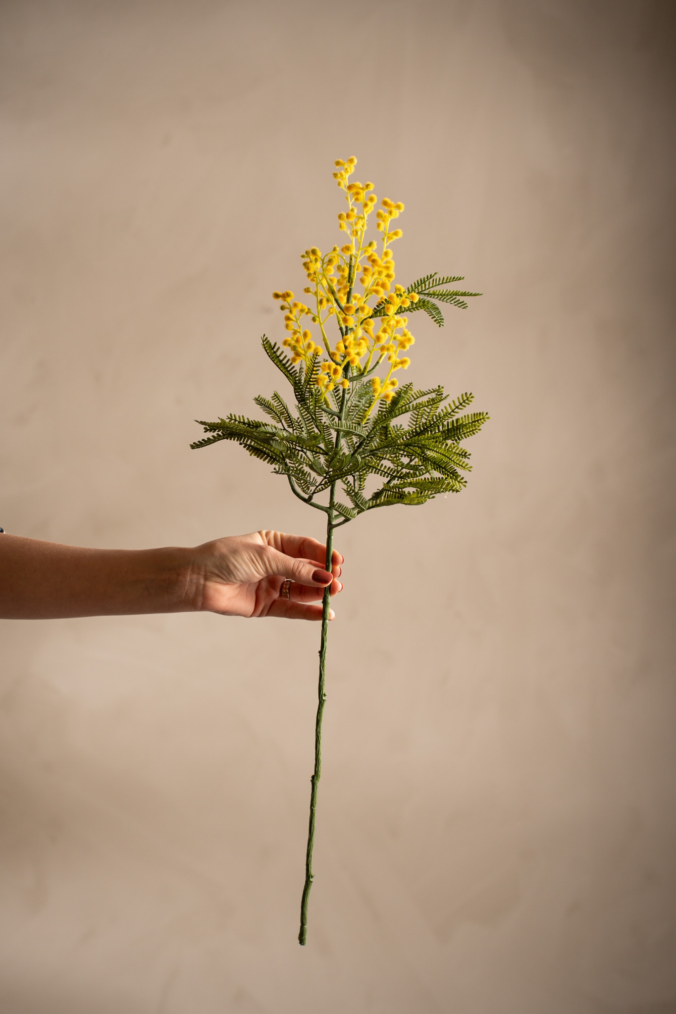 Kunstig gul Mimosa 68 cm