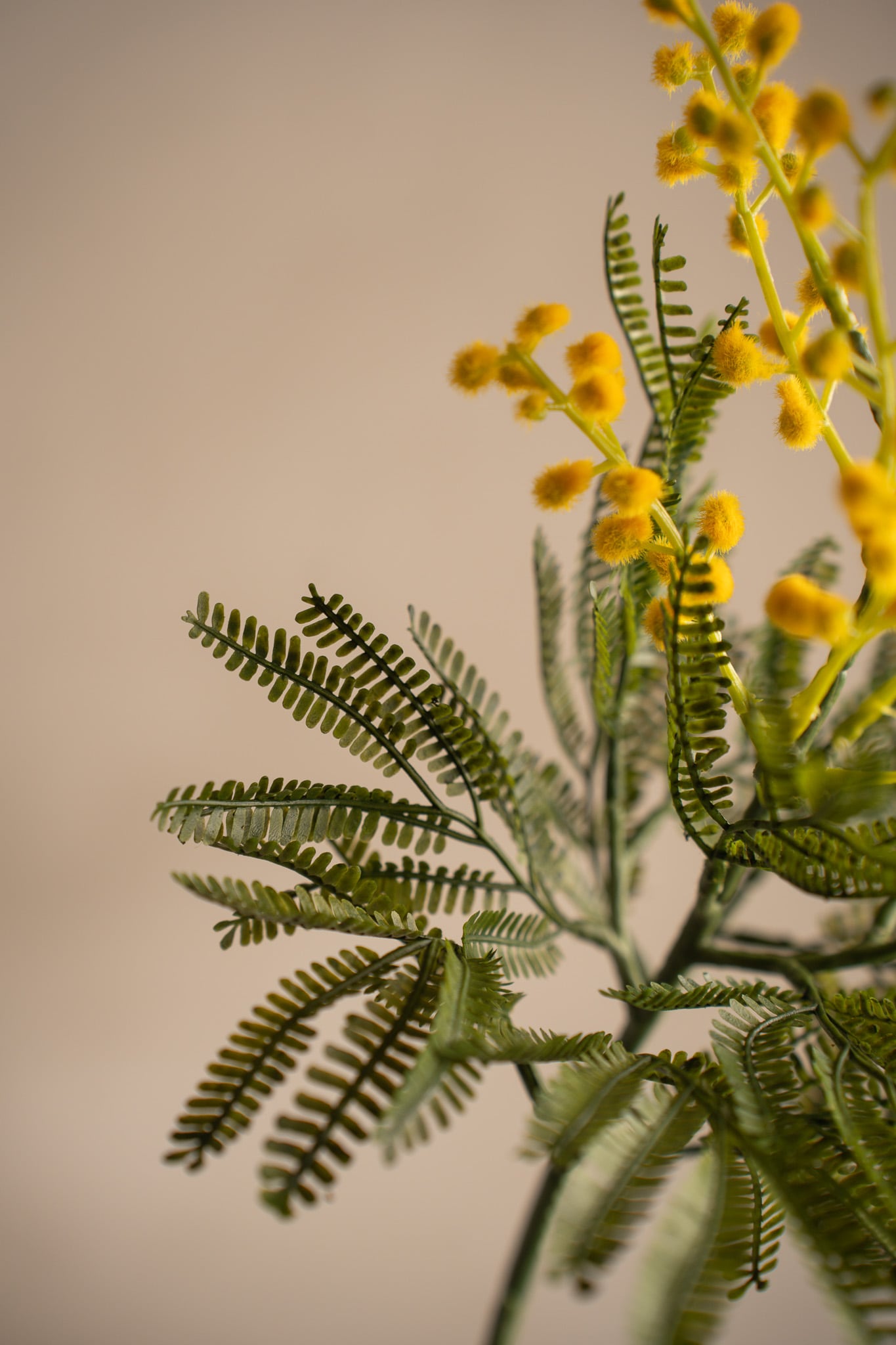 Kunstig gul Mimosa 68 cm