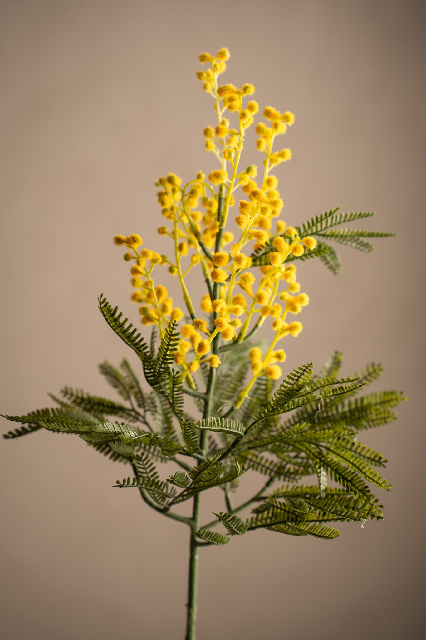 Kunstig gul Mimosa 68 cm